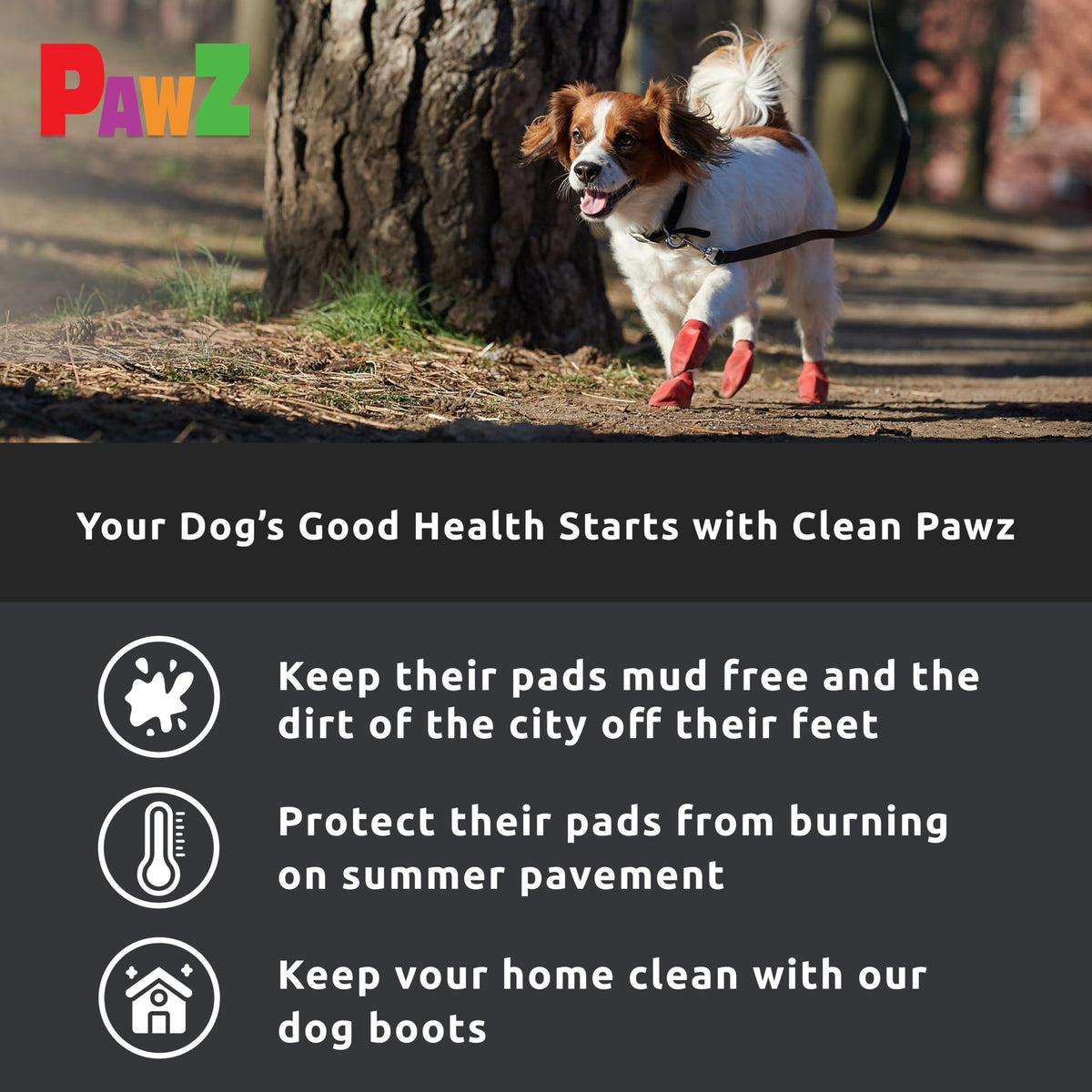 PAWZ Small Black Rubber Dog Boots - 12 Count | Water-Resistant | Reusable 5