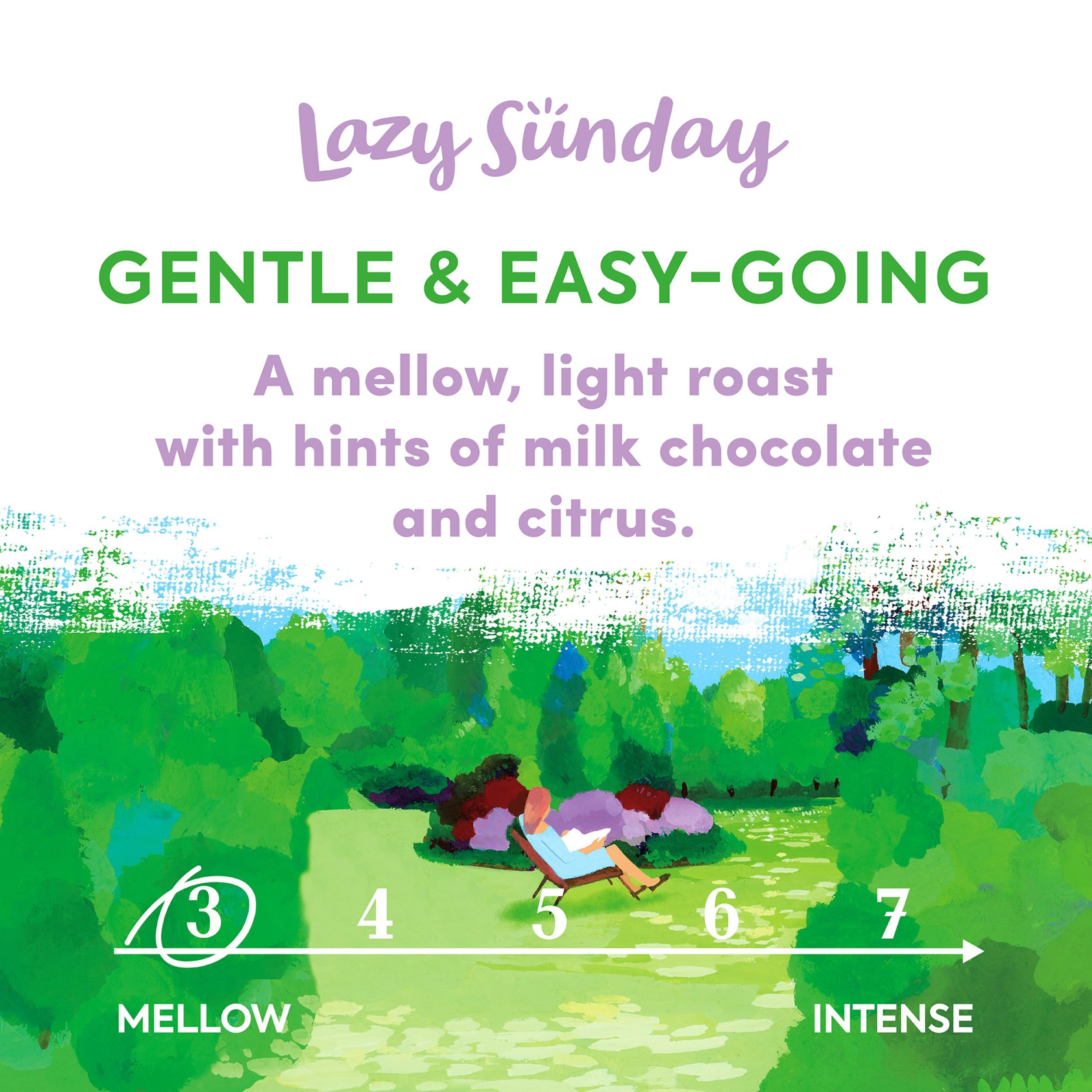 Taylors of Harrogate Lazy Sunday Ground Coffee, 400g (Pack of 3) 7