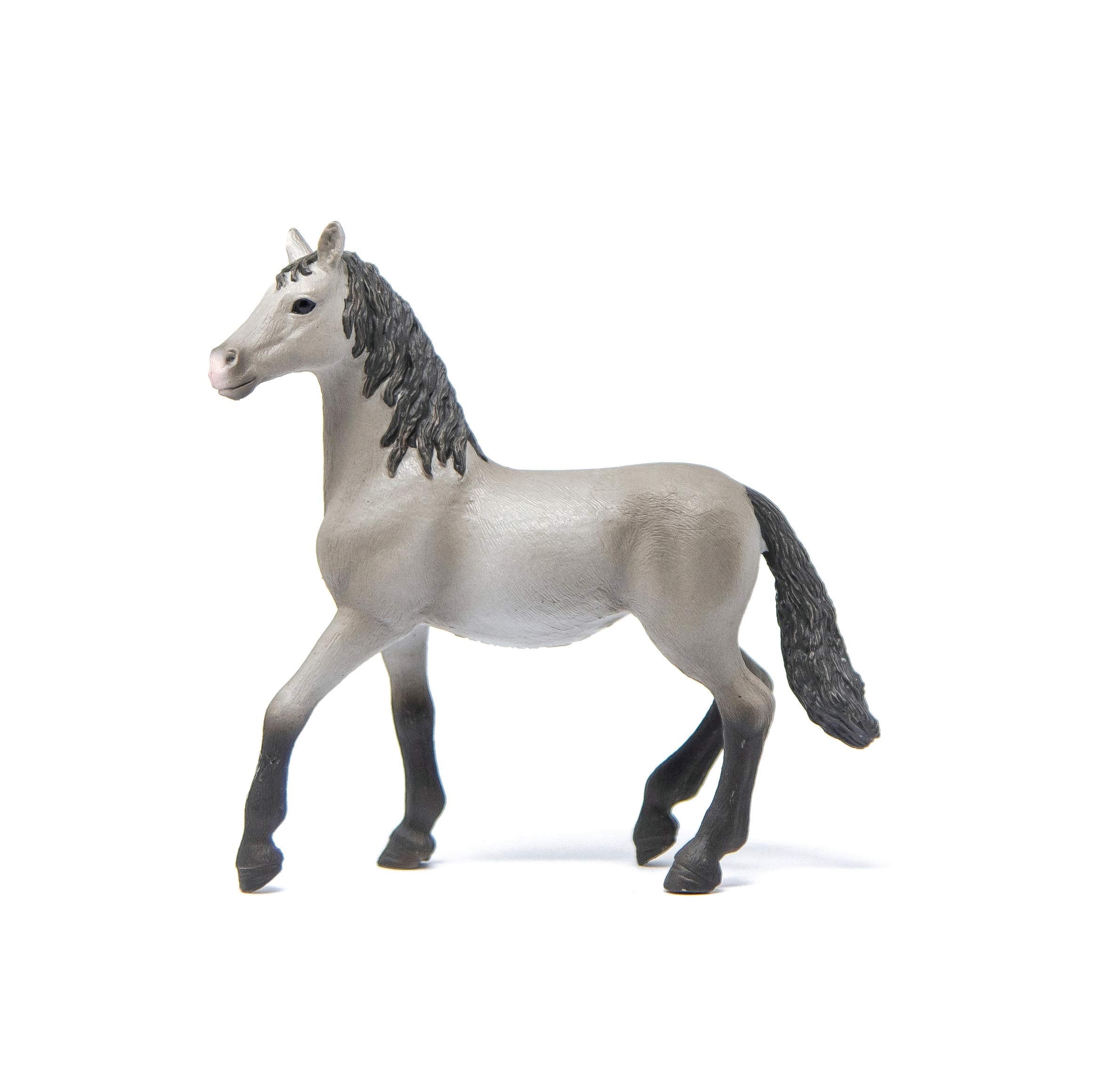 SCHLEICH Pura Raza Española Young Horse - Detailed Horse Club Figurine for Kids 5-12 5