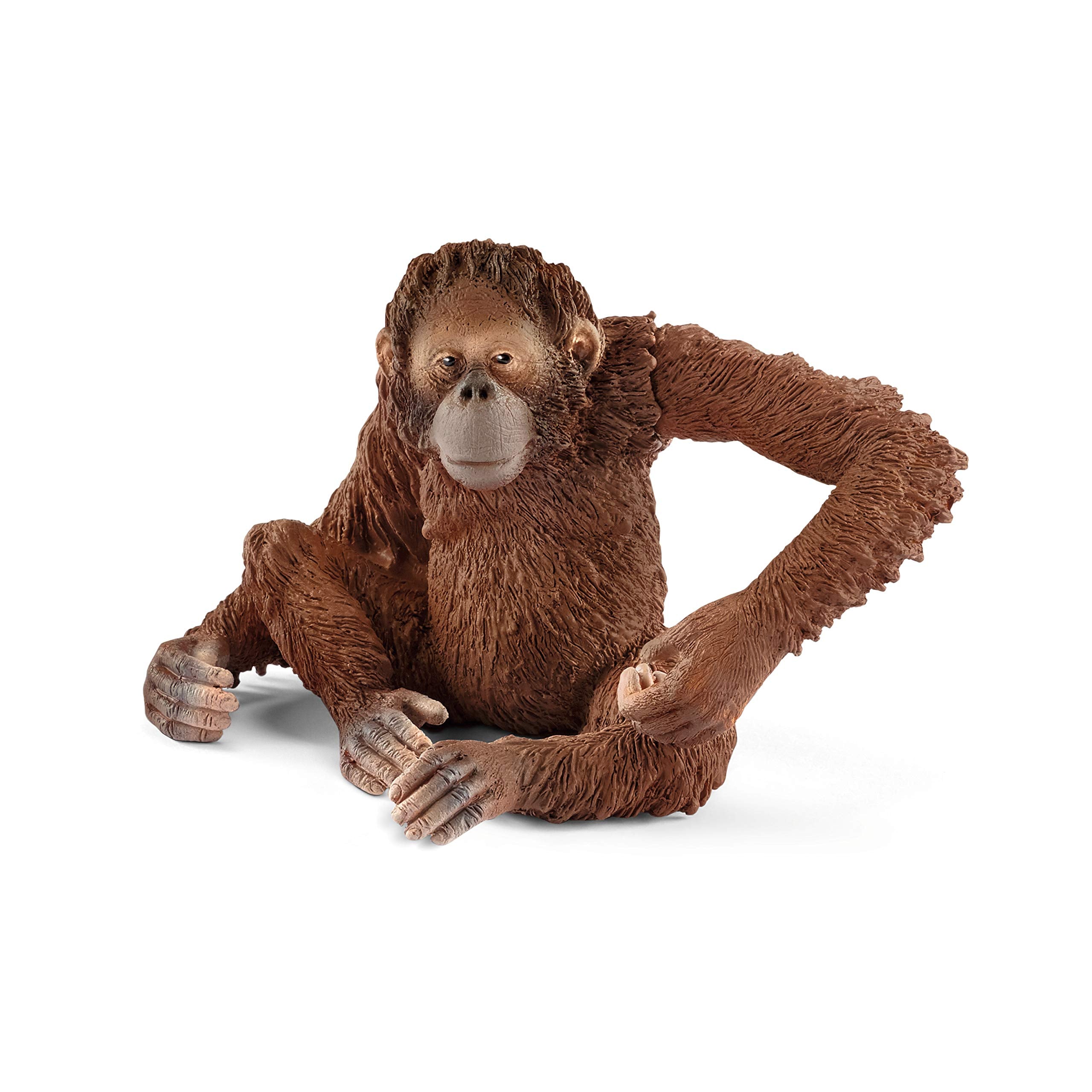 SCHLEICH Orangutan Female Figurine - Movable Arms & Fruit-Holding Jungle Animal Toy for Kids