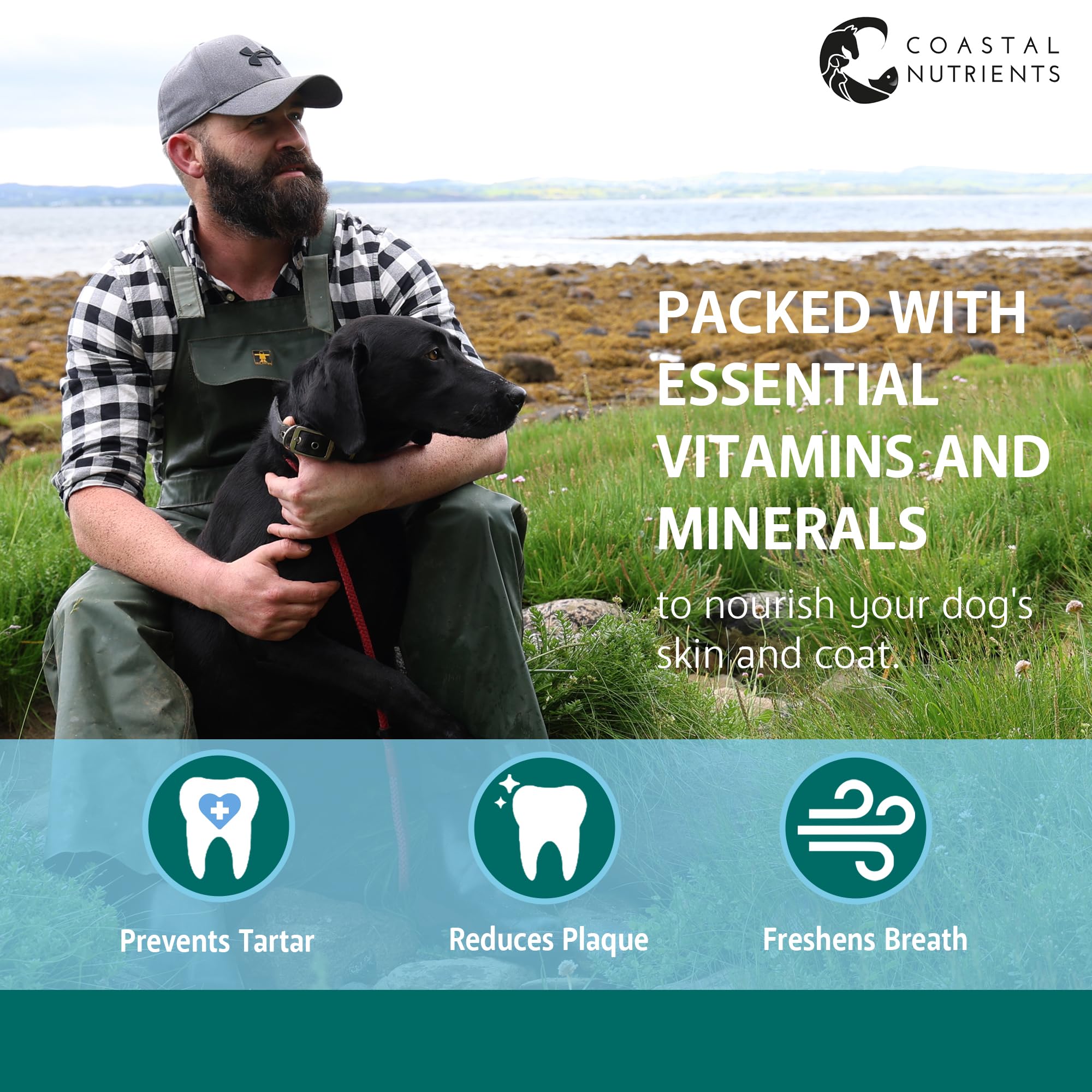 Coastal Nutrients Sea Dog Dental Powder for Dogs - Oral Hygiene & Gut Health | 250 g 6