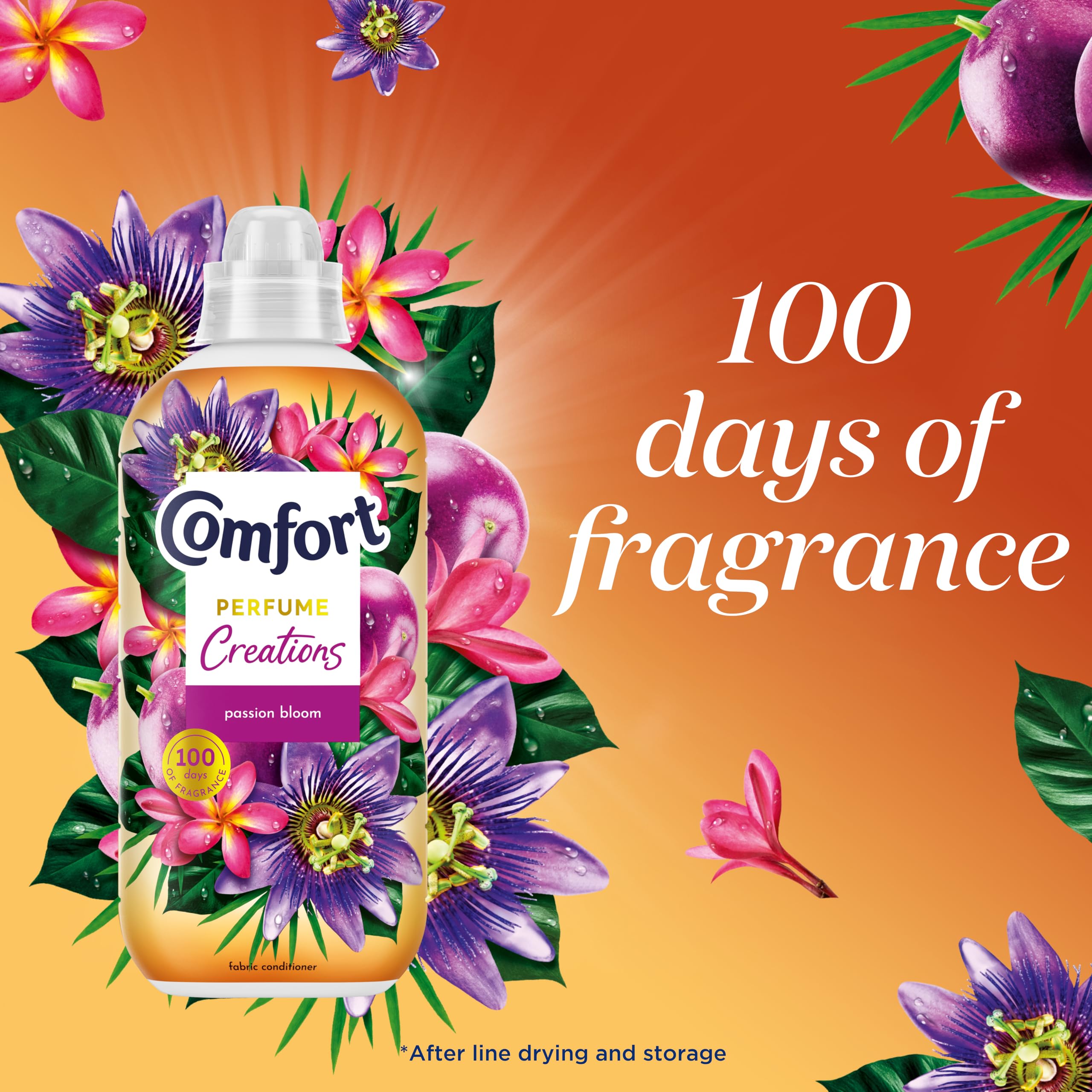 Comfort - Perfume Creations Passion Bloom Weichspüler (1,42 kg) 3