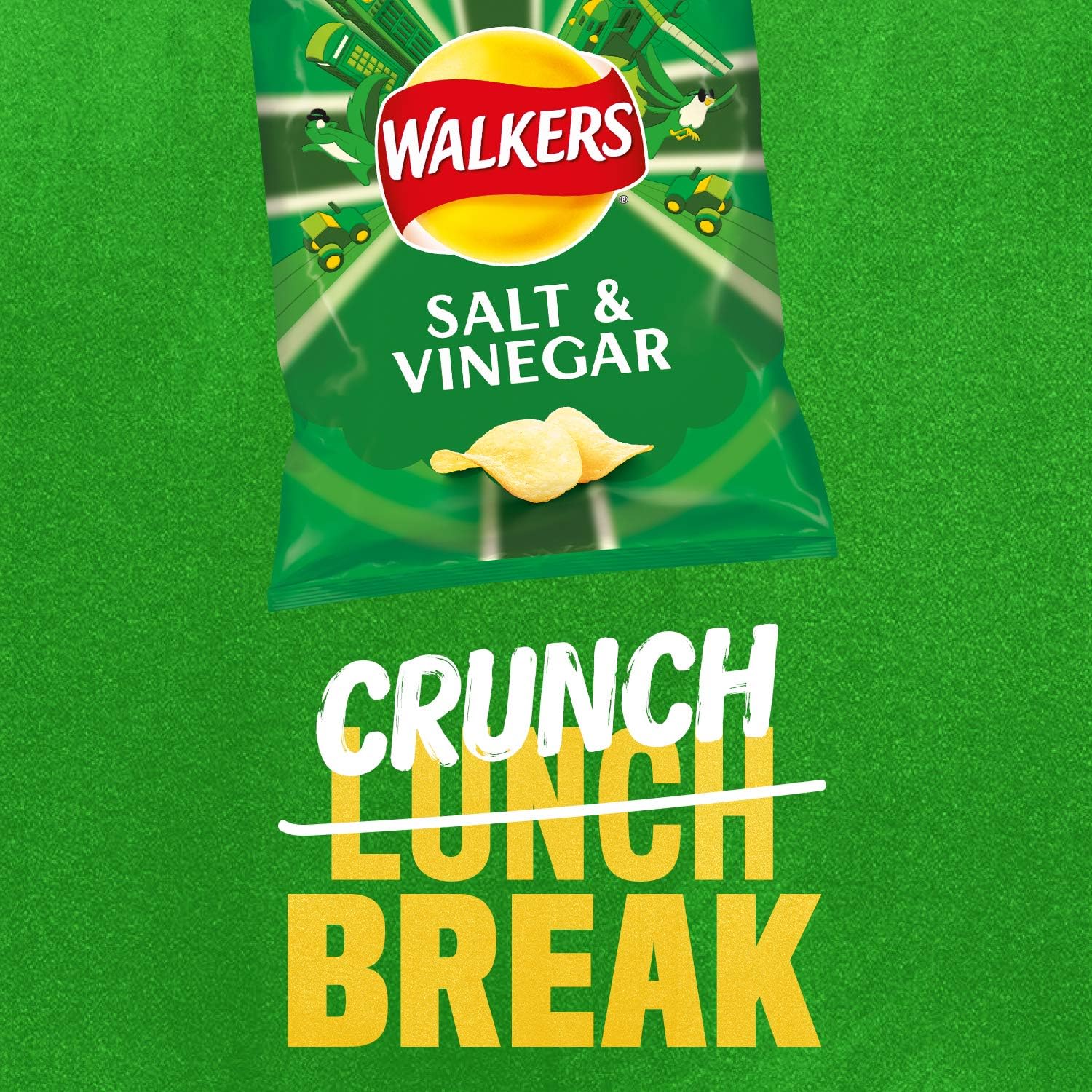 Walkers Salt &amp; Vinegar Chips 32,5 g (Karton mit 32 Stück) 11