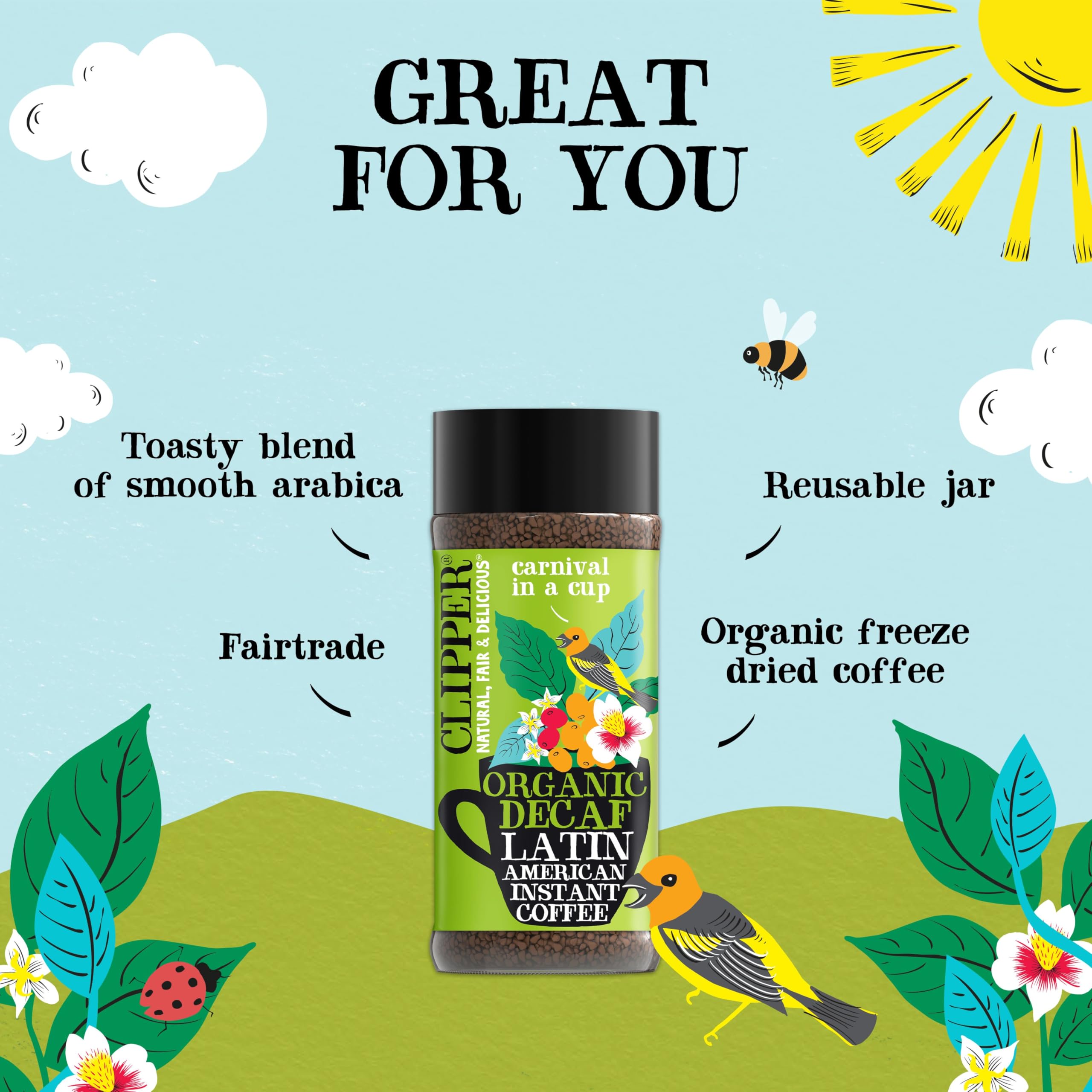 Clipper Organic Latin American Instant Decaf Coffee | 6 x 100g Jars | Fairtrade & Non-GM 6