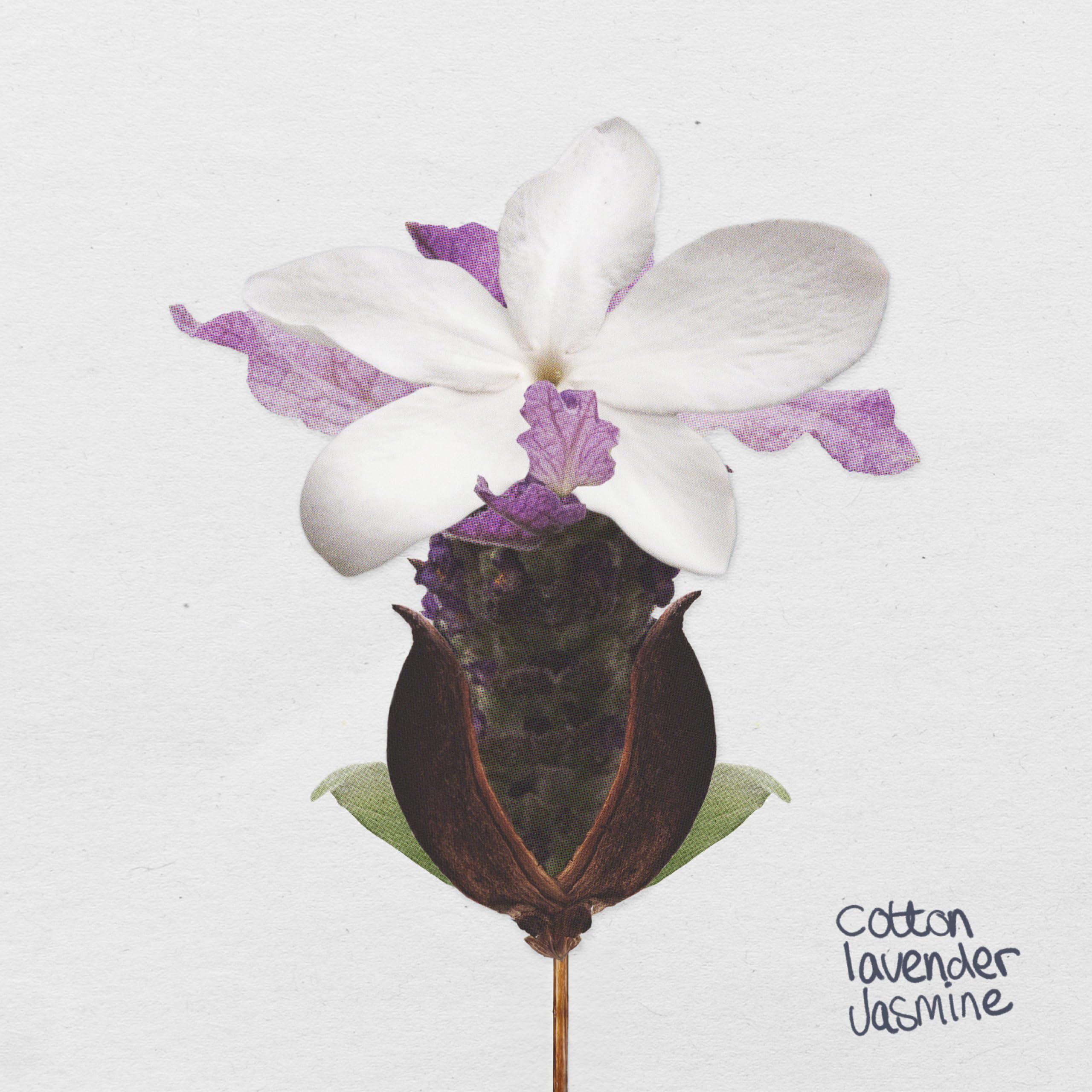 The Lab Co. - Non-Bio Fabric Conditioner Laundry Softener (1 Litre) 8