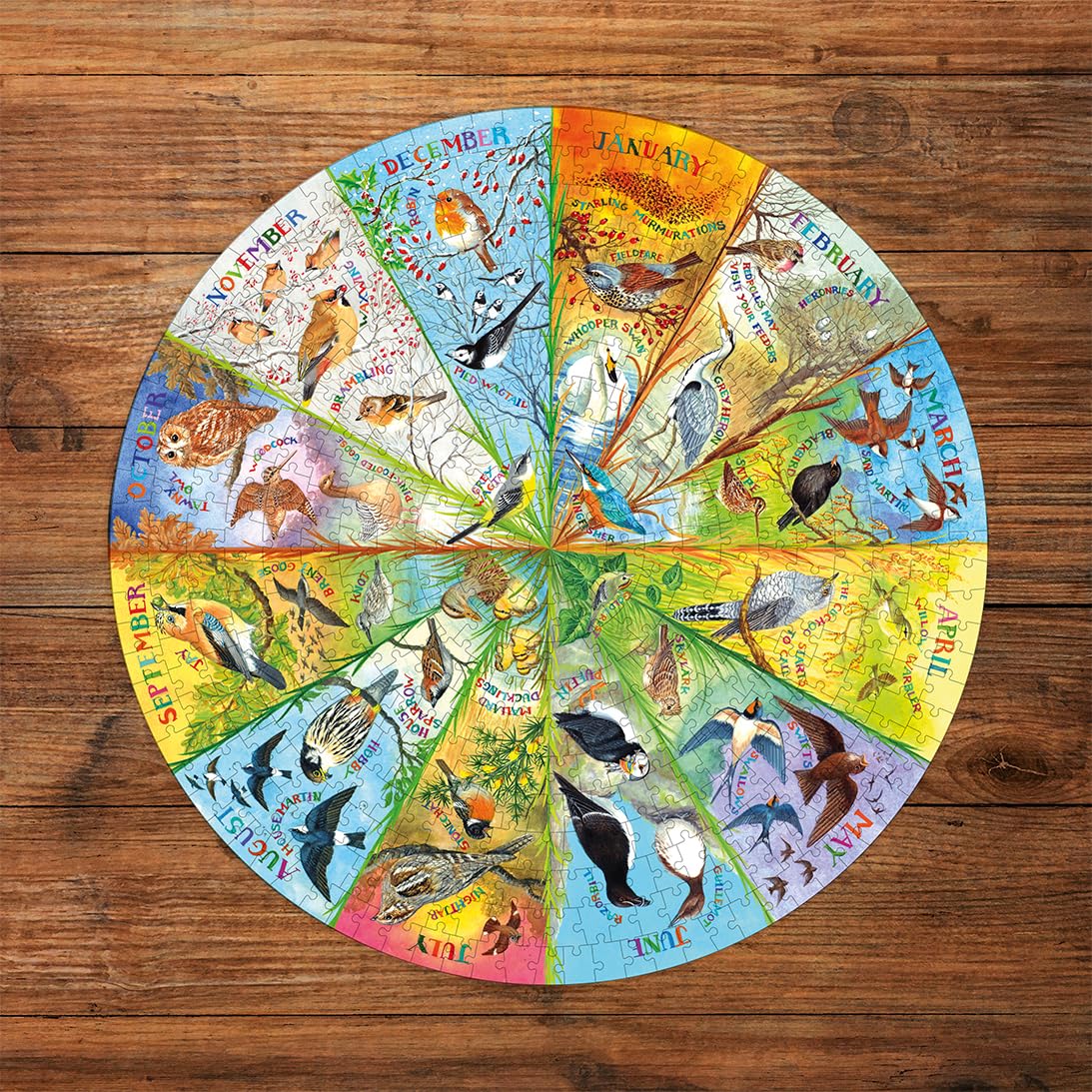 Gibsons RSPB Birds of the Year 500 Piece Circular Jigsaw Puzzle | 49 cm Diameter