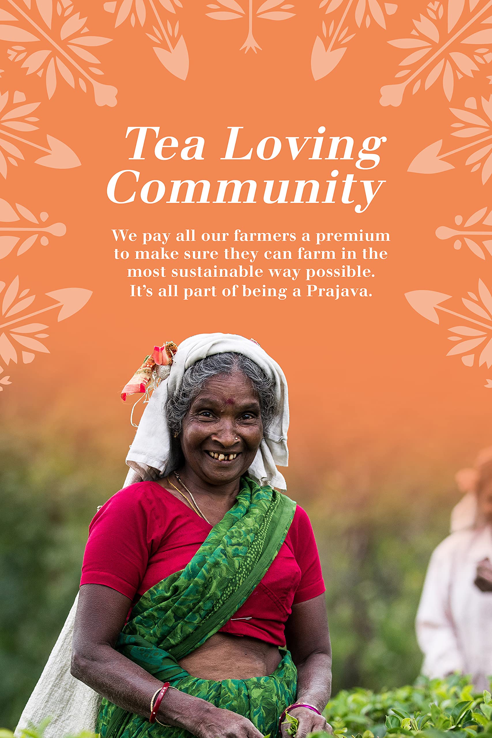 English Tea Shop Super Tea Prism Collection - 12 Fairtrade Organic Pyramid Tea Bags in 6 Flavours 4