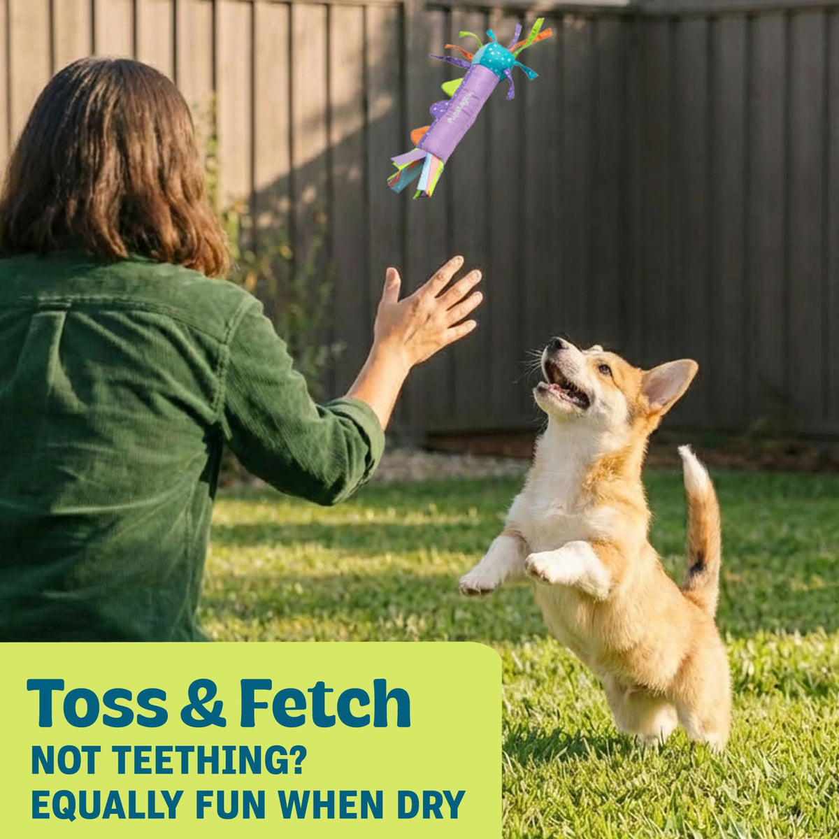 Pupstages Cool Teething Stick Dog Toy - Soothes Gums, Reduces Destructive Behavior, Freezable 7