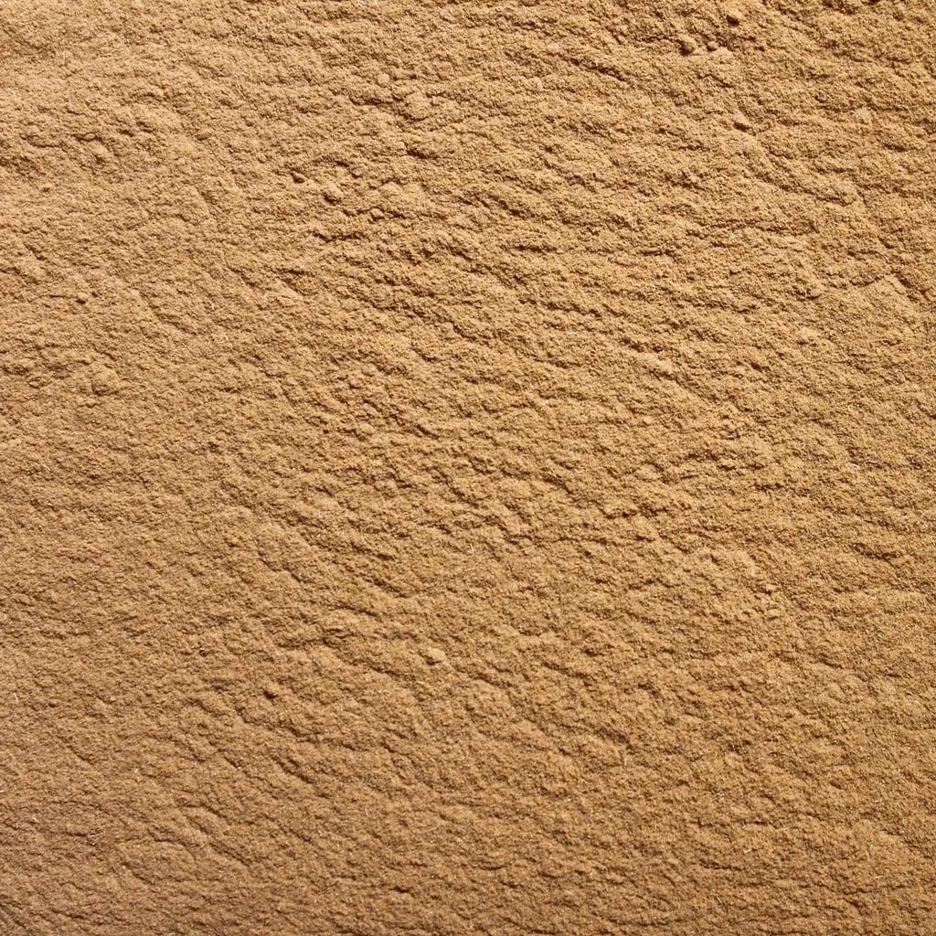 Wholefood Earth Organic Ceylon Cinnamon Powder (True) 125g Raw from Sri Lanka 4