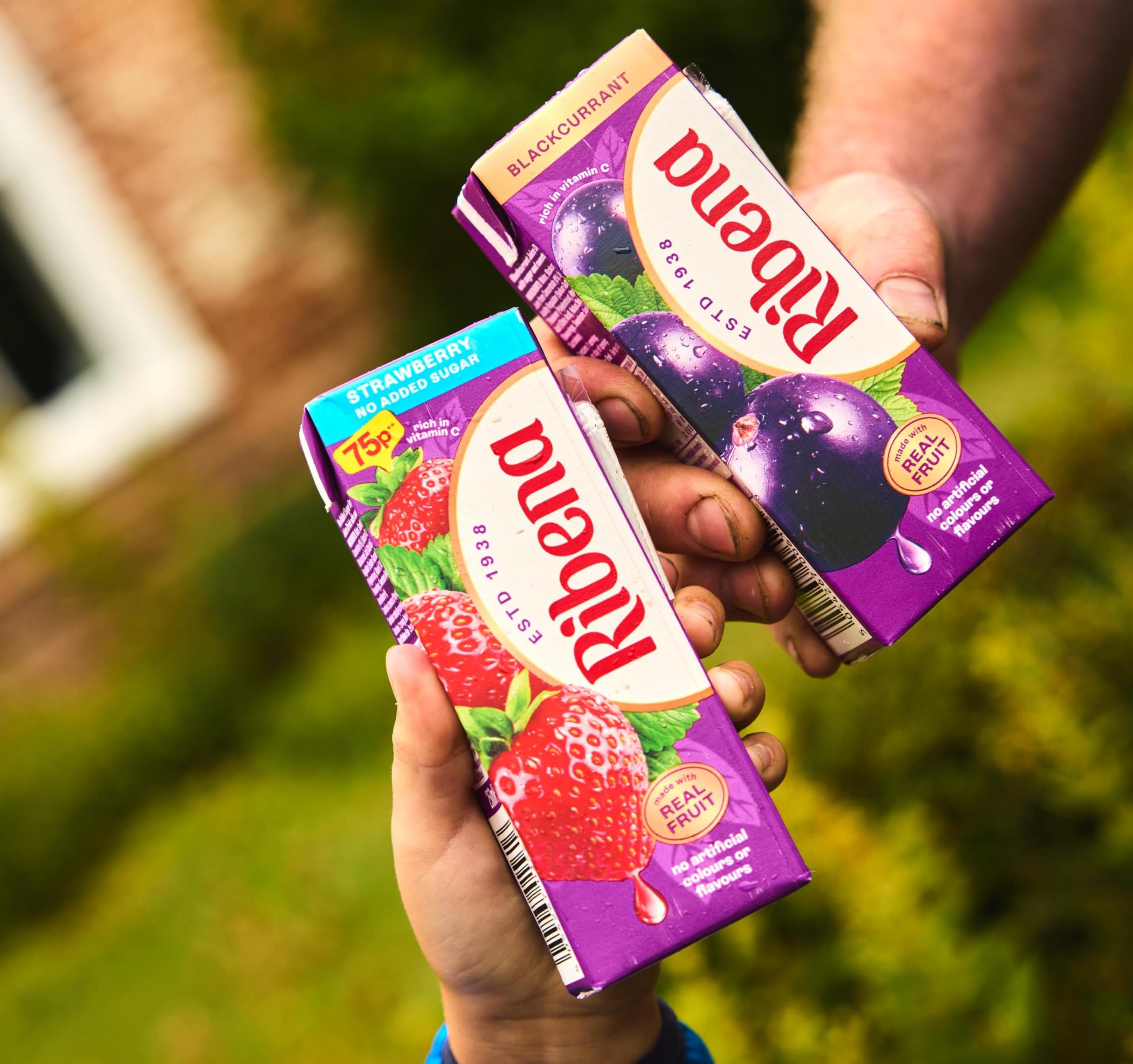 Ribena - Strawberry No Added Sugar Juice Drink Multipack 6x 250ml 8