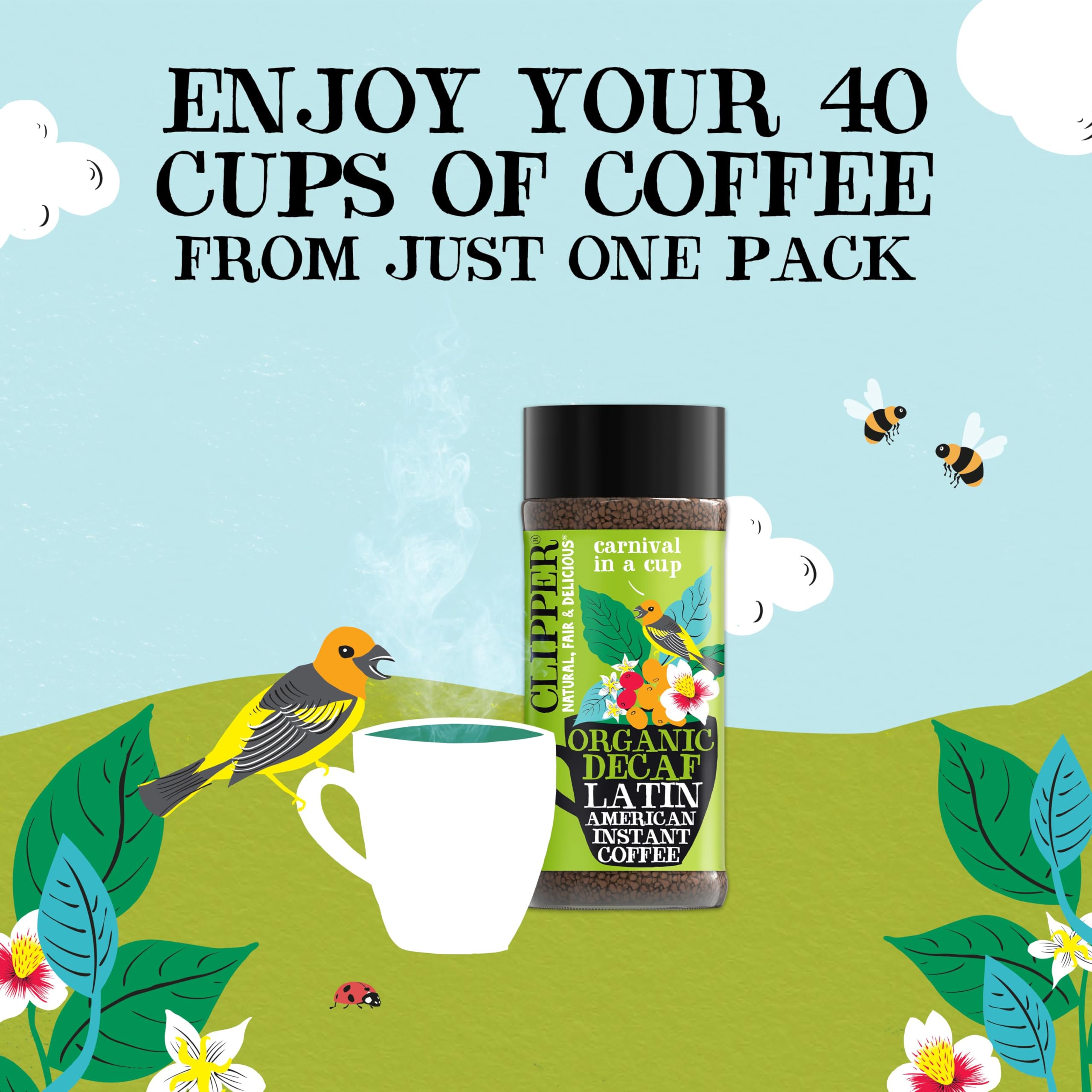 Clipper Organic Latin American Instant Decaf Coffee | 6 x 100g Jars | Fairtrade & Non-GM 8