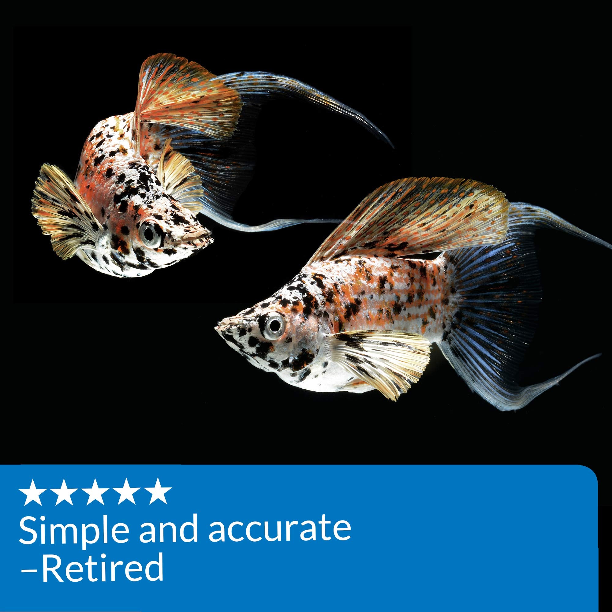 API AMMONIA TEST STRIPS - Freshwater & Saltwater Aquarium Water Quality Test Kit | 25 Strips 5