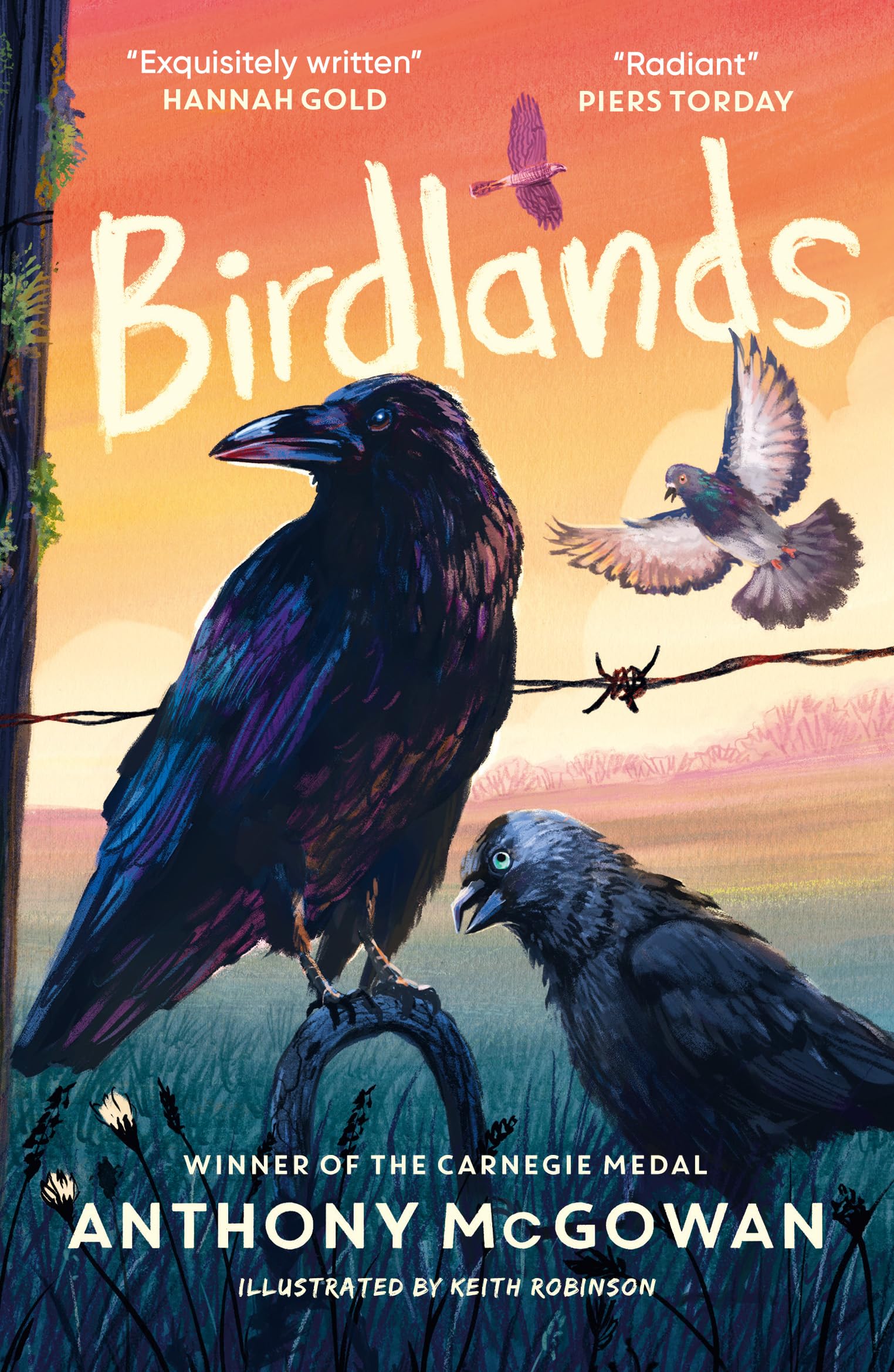Birdlands by Anthony McGowan | Children's Friendship Book | Paperback