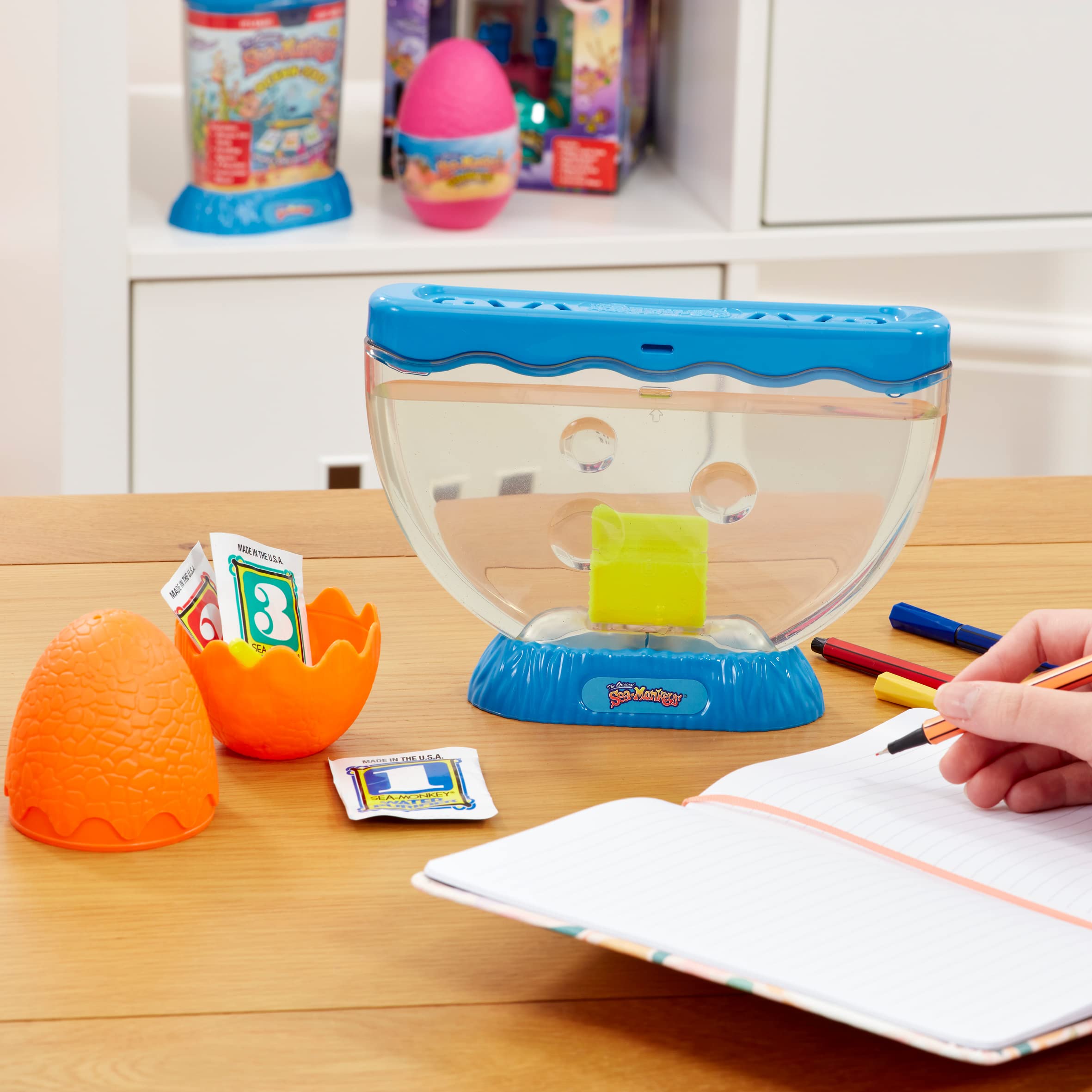 Sea Monkeys Mystery Egg Nachfüllset – Wissenschaftliches Experiment mit lebenden Artemia für Kinder ab 6 Jahren 7