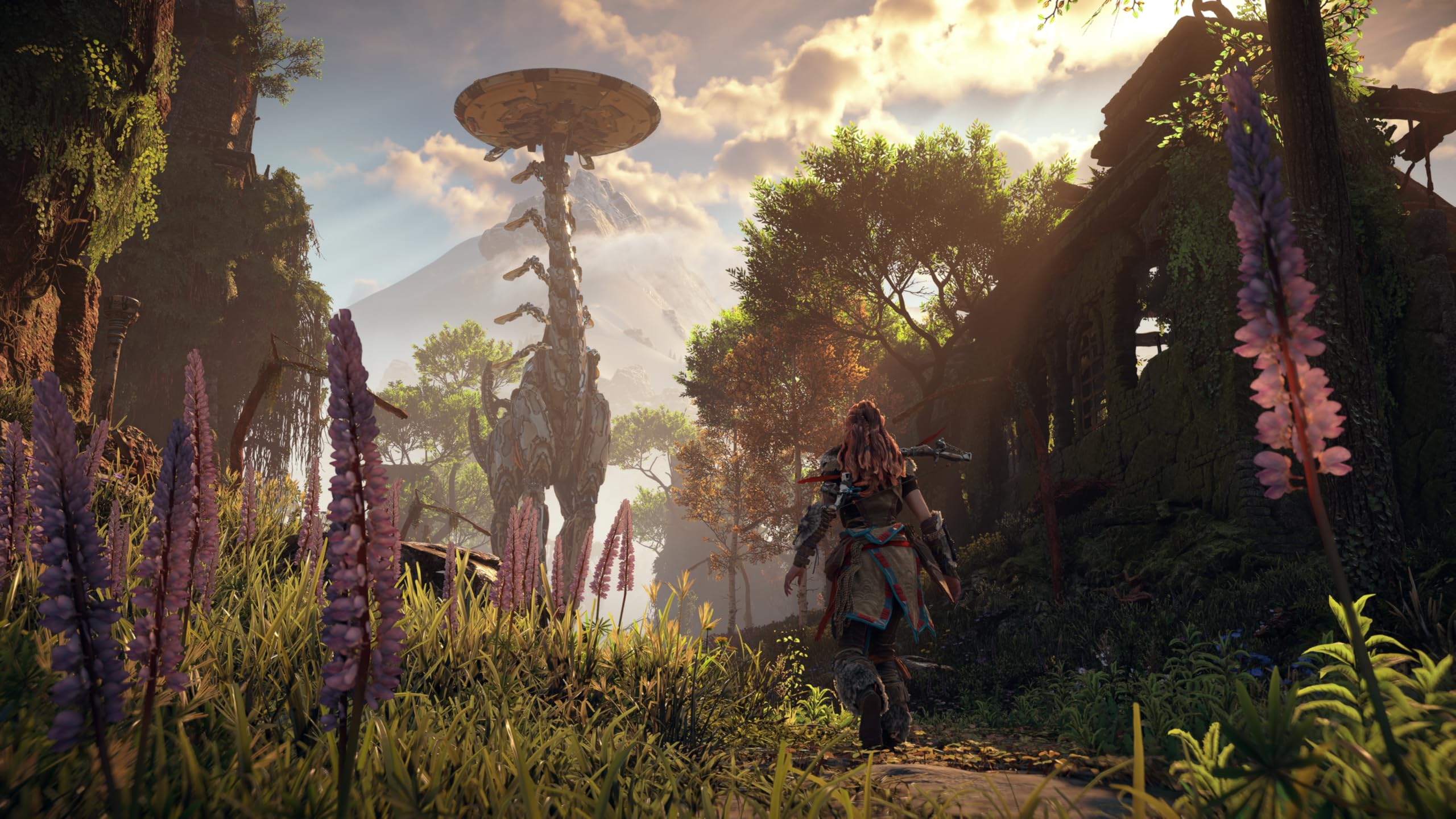 Horizon Zero Dawn Remastered - PlayStation 5 6