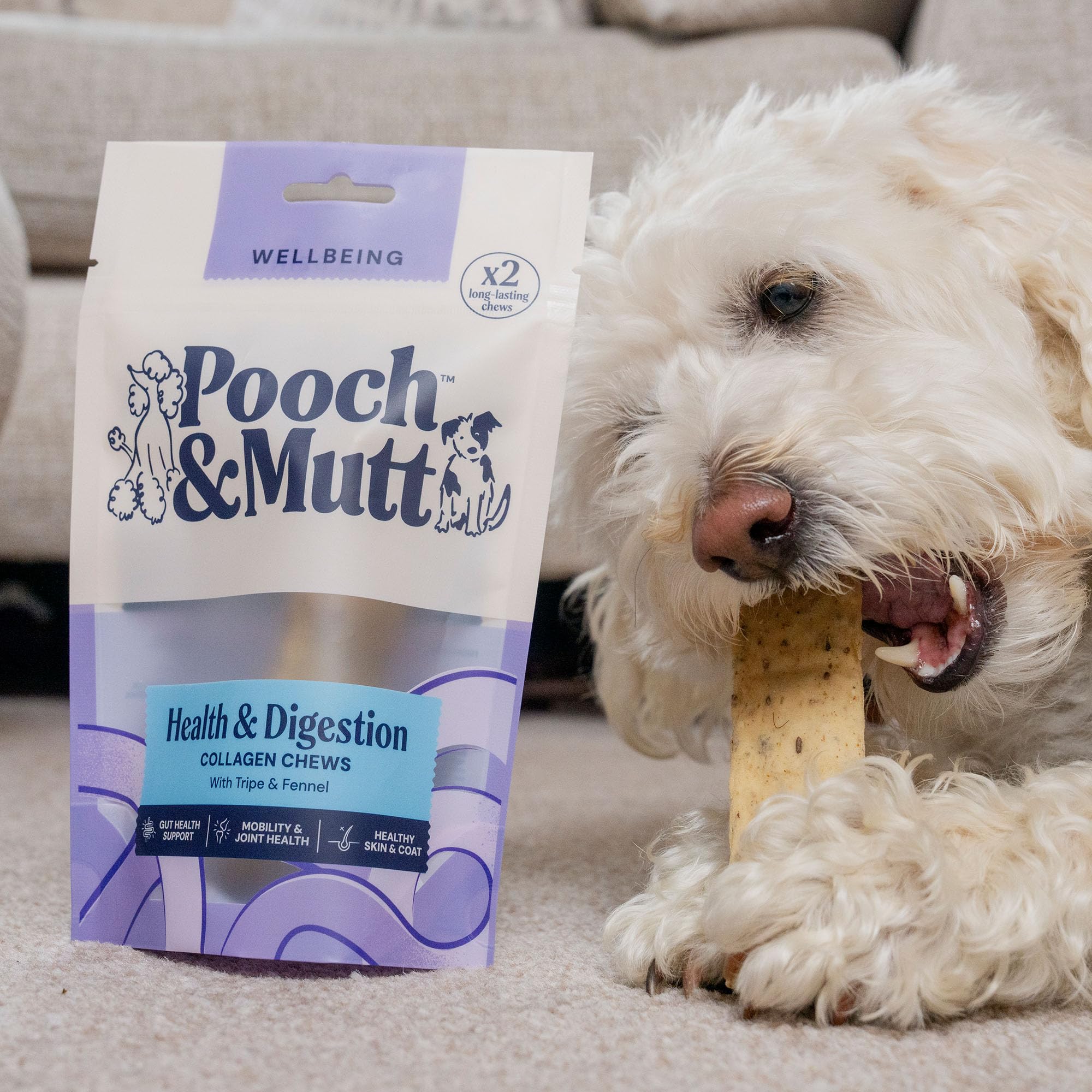 Pooch & Mutt Digestive Support Collagen Dog Chews | Beef Flavour | Adult All Breed