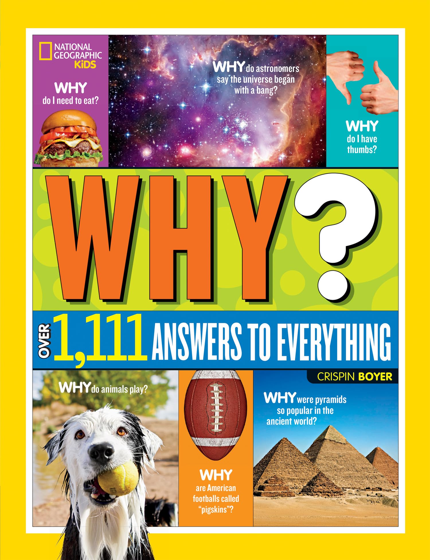 Collins Why? Over 1,111 Answers to Everything Reference Book | Hardcover | Ages 7-10 1