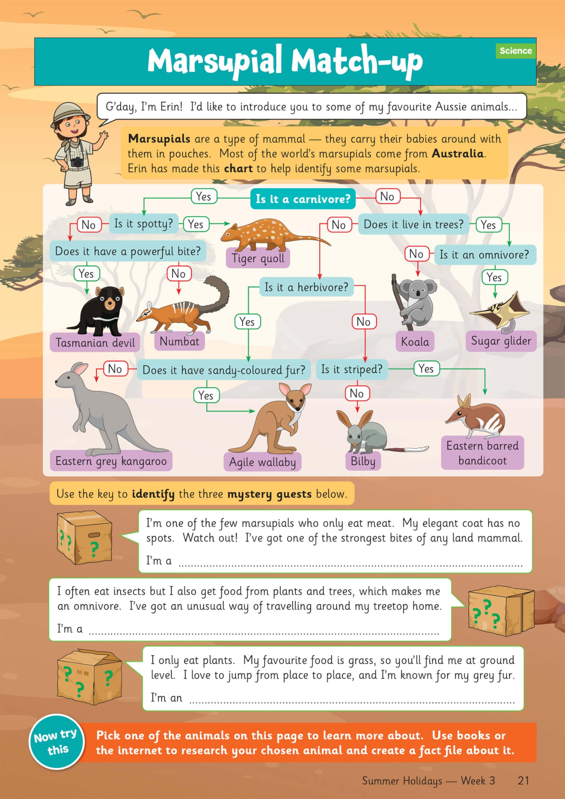 CGP Summer Holidays Activity Workbook - Year 4 to Year 5 Transition | Paperback | English 5
