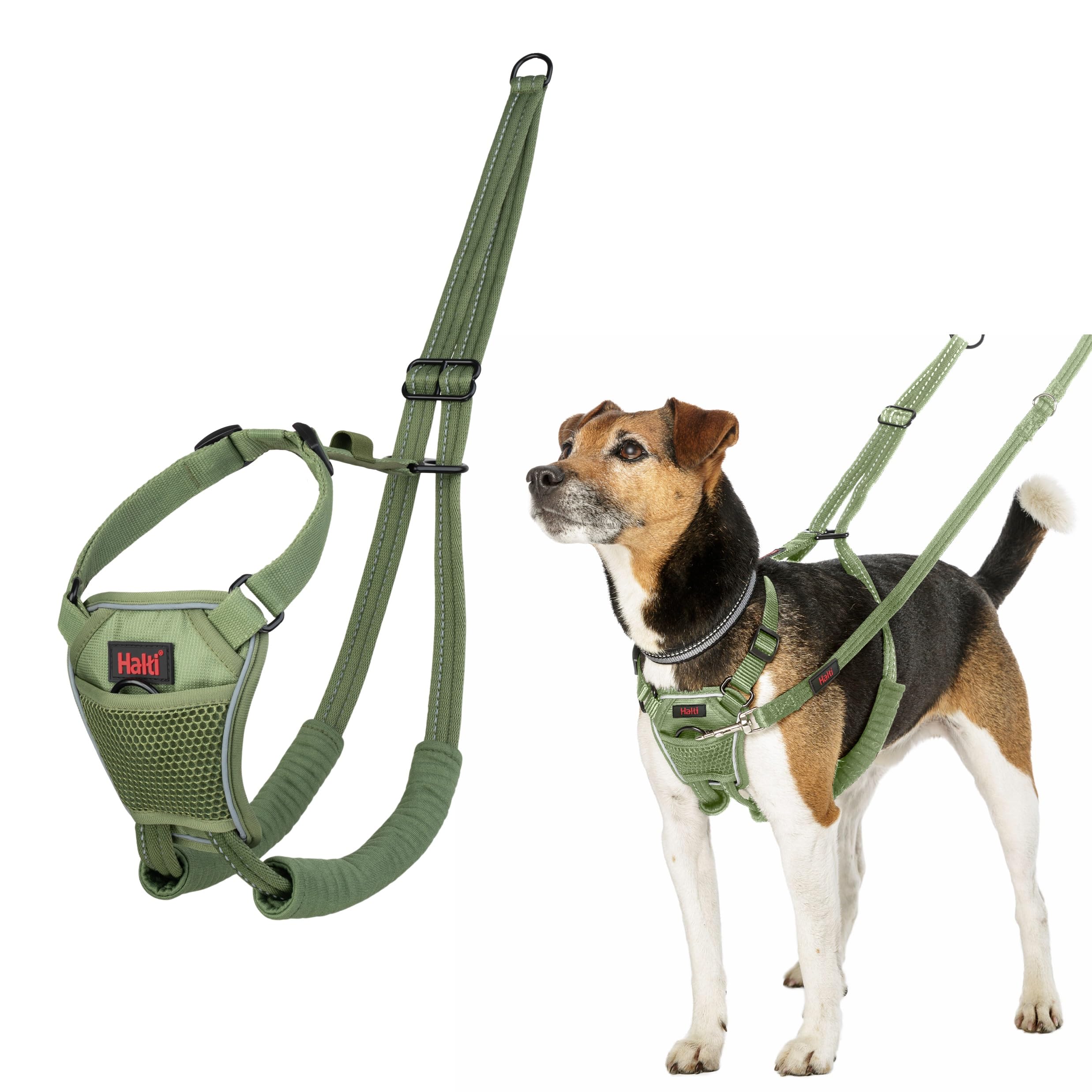 Halti No Pull Harness - Stops Pulling with Front Control Steering | Size S | Forest Green