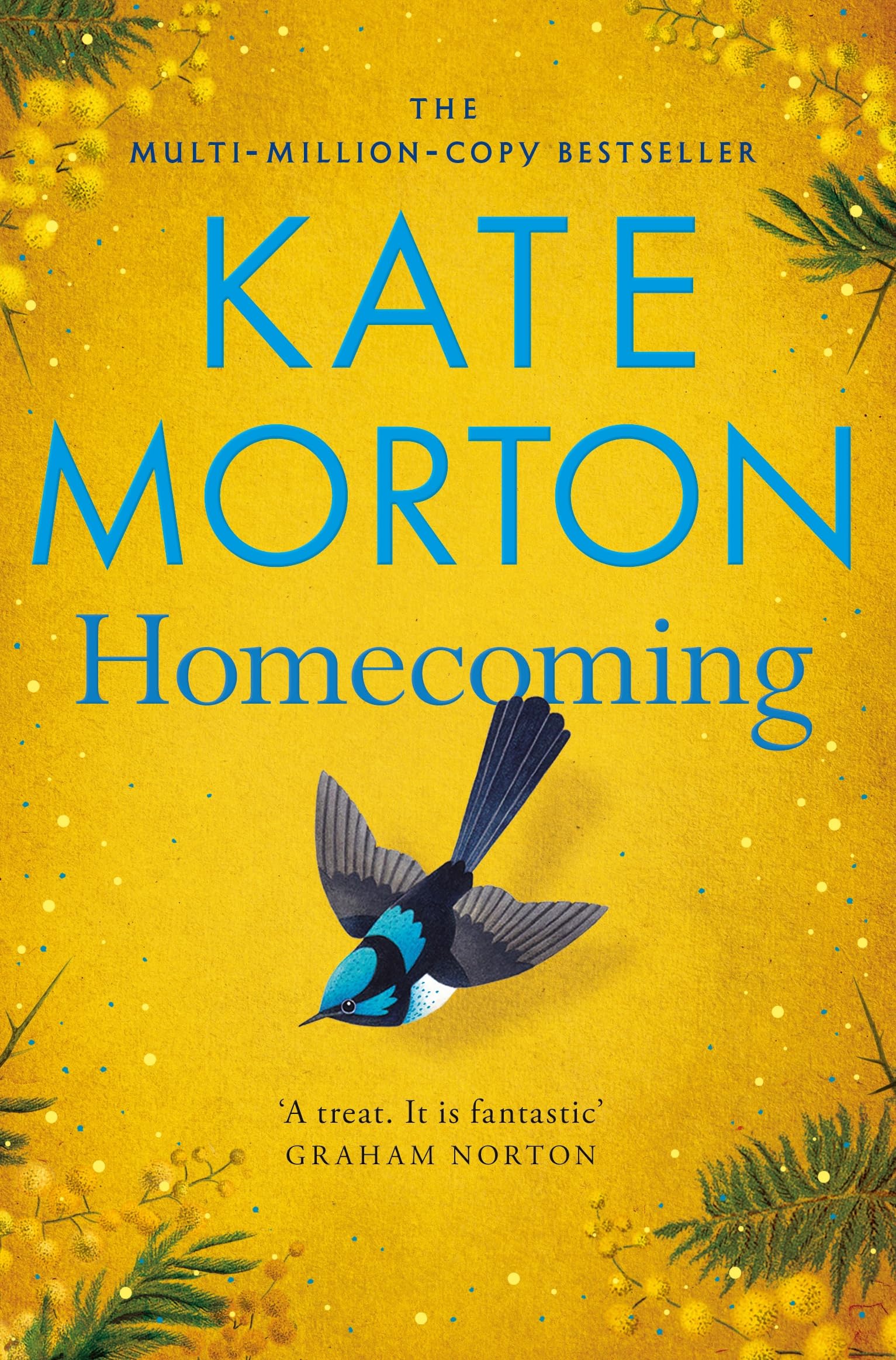 Pan Homecoming: A Sweeping, Intergenerational Epic by Kate Morton | Paperback | English