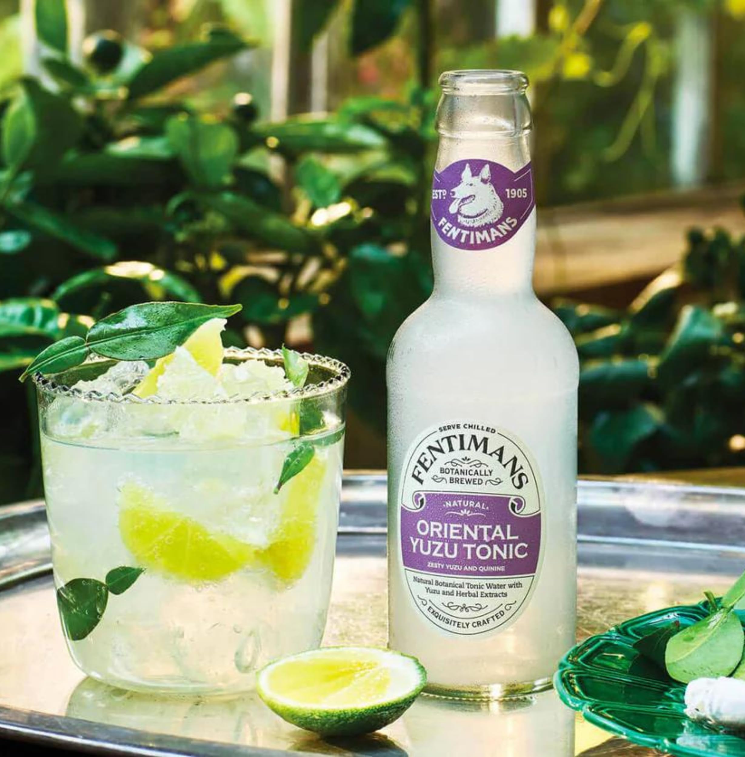Fentimans Oriental Yuzu Tonic Water - Botanically Brewed, 4 x 200ml Pack 5