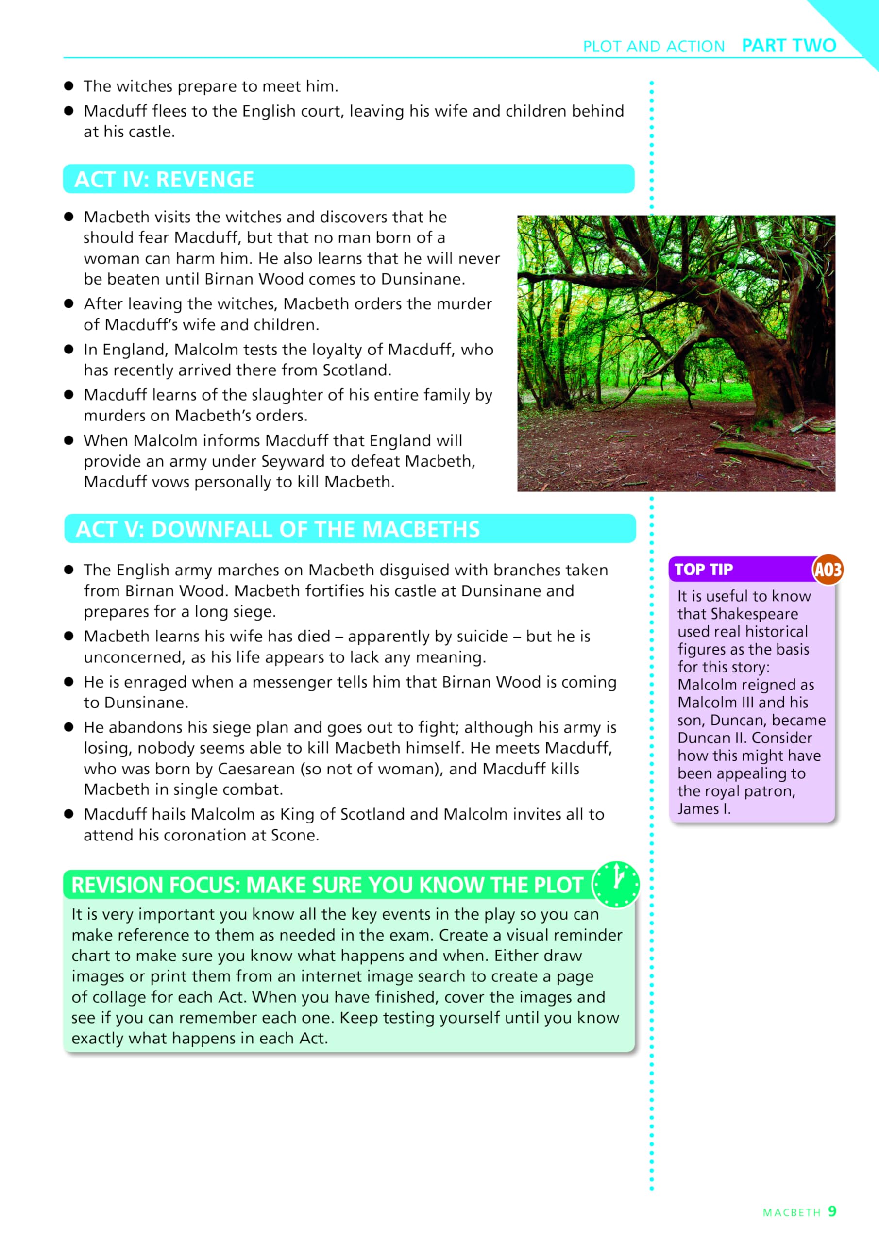 PEARSON EDUCATION York Notes for GCSE - Macbeth Study Guide | Paperback | 88 Pages 7