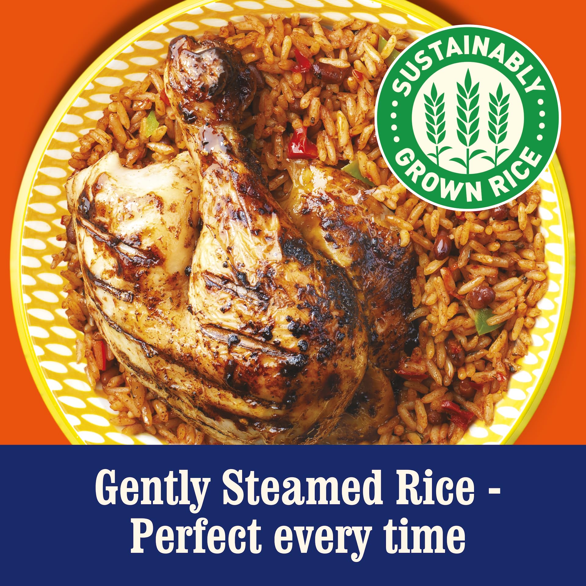 Ben's Original Caribbean Microwave Rice, 6 x 220g Pouches