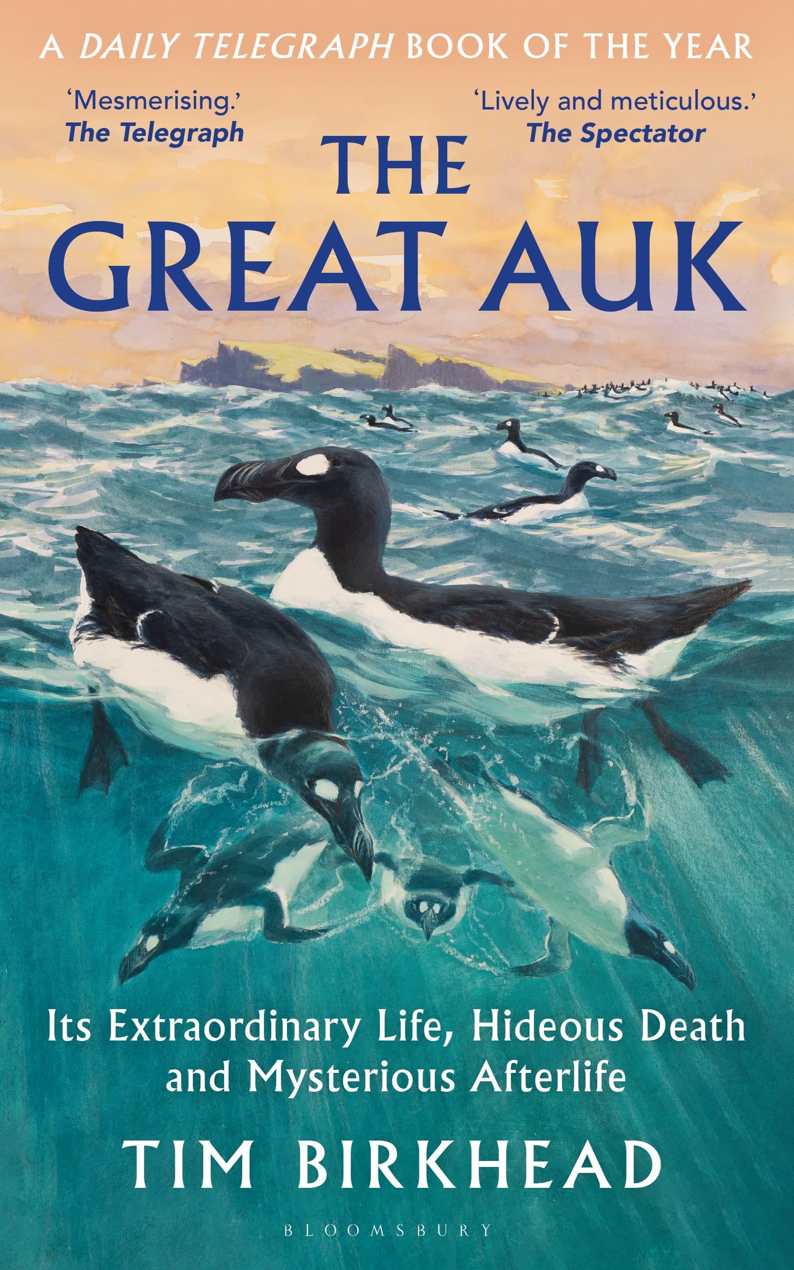 Bloomsbury The Great Auk: Its Extraordinary Life, Hideous Death and Mysterious Afterli by Tim Birkhead (Paperback) 1