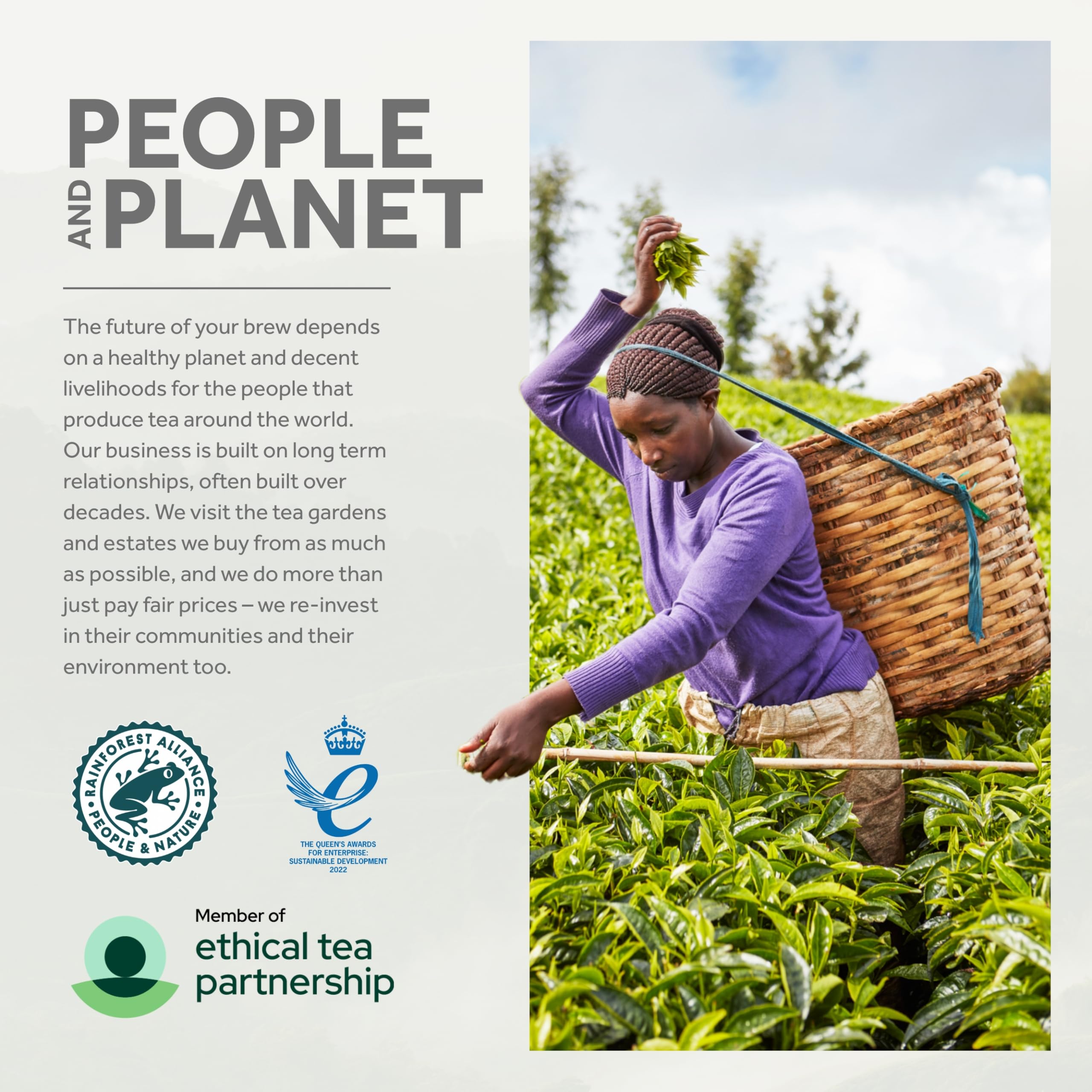 Yorkshire Tea 5 Boxes of 40 Tea Bags (200 Total) - Rich, Full-Bodied Black Tea Blend 6