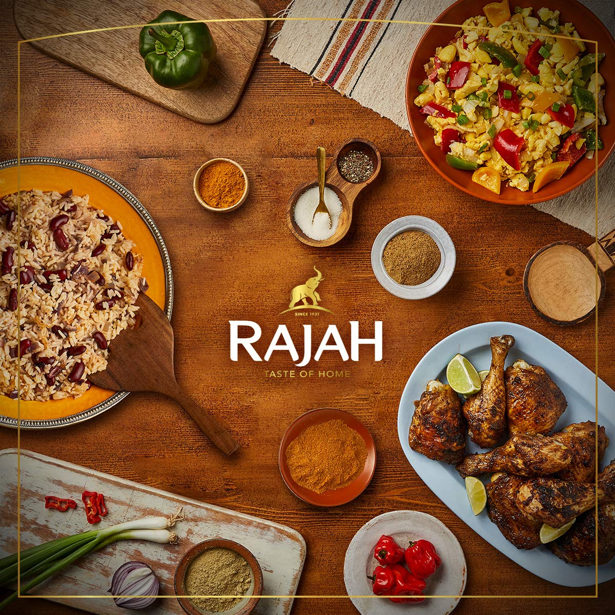 Rajah Spices All Purpose Seasoning for Meat, Poultry & Fish | 1kg 5