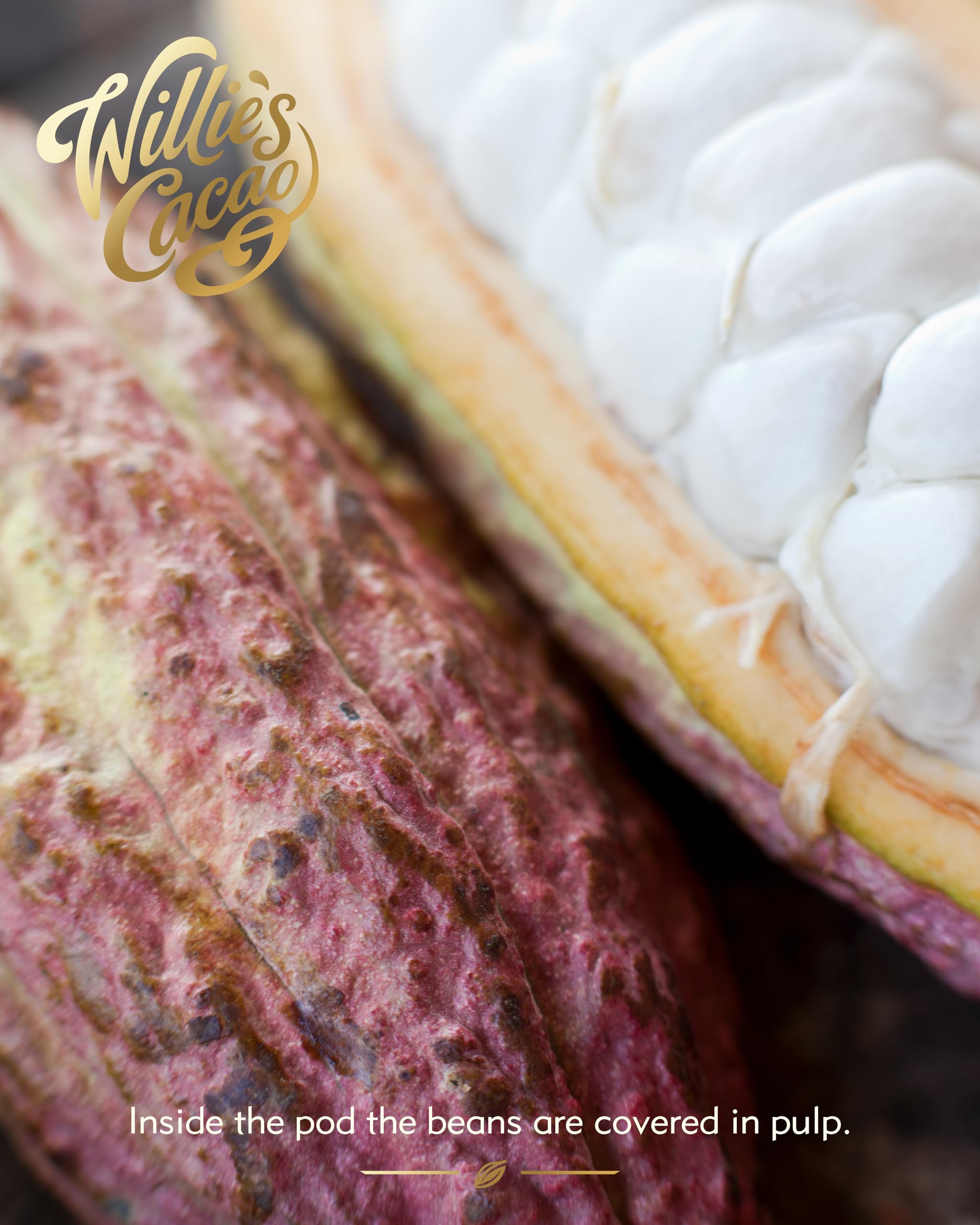 Willie’s Cacao - Dark Chocolate Salted Caramel Pearls 150g – Gift Box of 20 Individually Wrapped Pearls with Molten Sea Salt Caramel 12