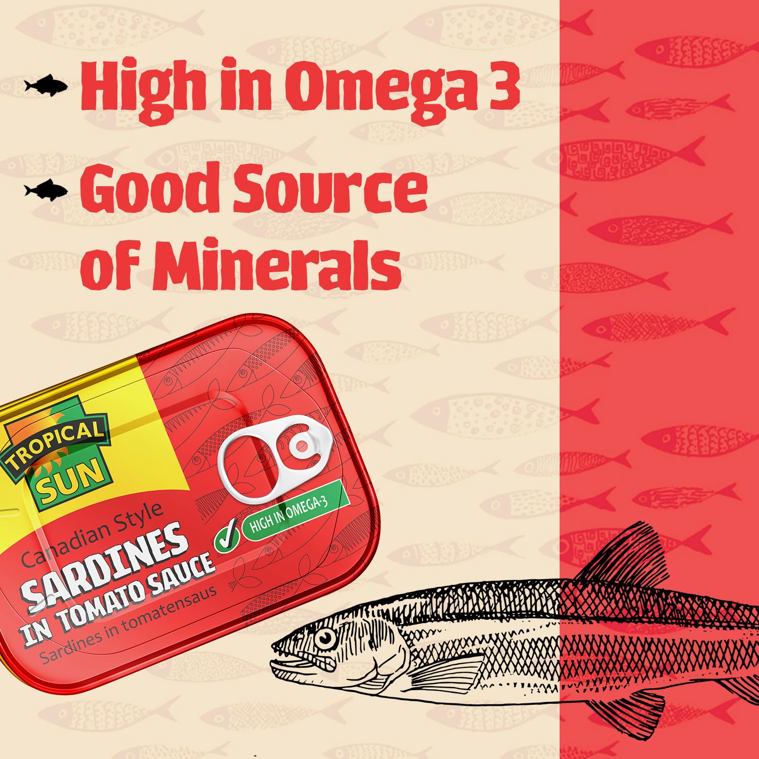 Tropical Sun Canadian-Style Sardines in Tomato Sauce, 106g (Pack of 12)