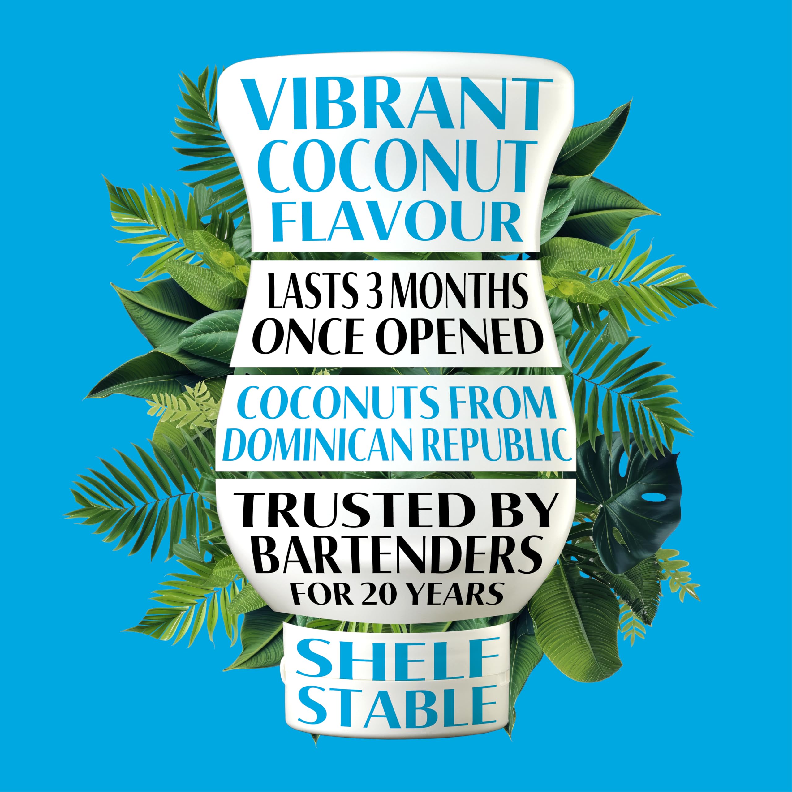 Reàl Infused Exotics – Coco Reàl Kokoscreme | 500 ml Quetschflasche 3