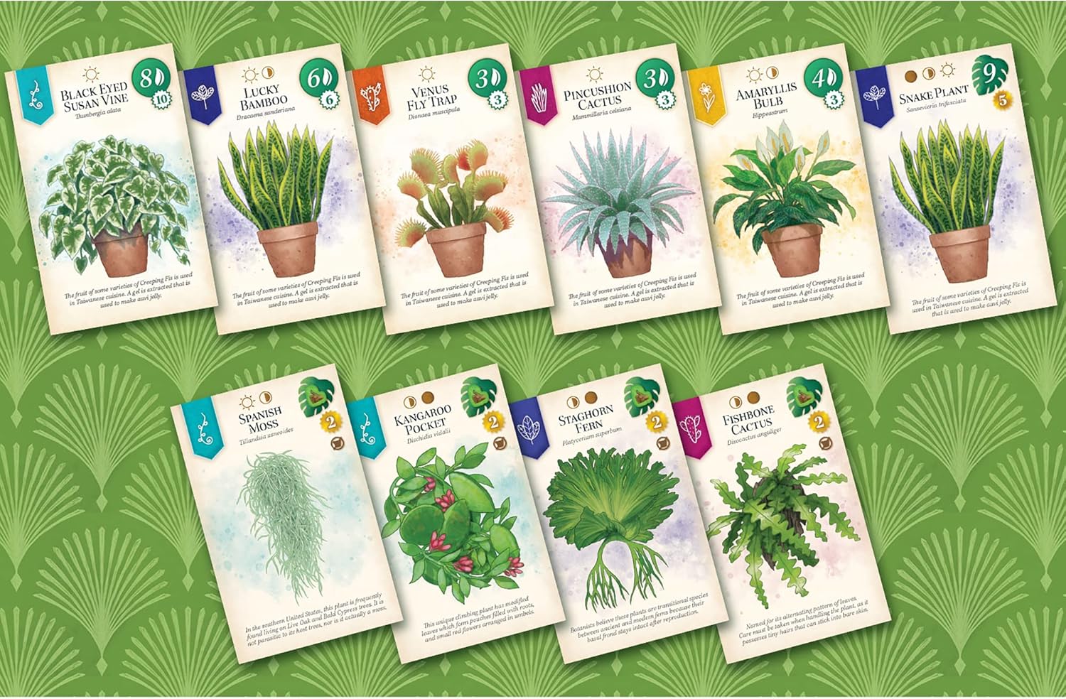 Alderac Entertainment Group Verdant – Familien-Räumliches Puzzlespiel 3