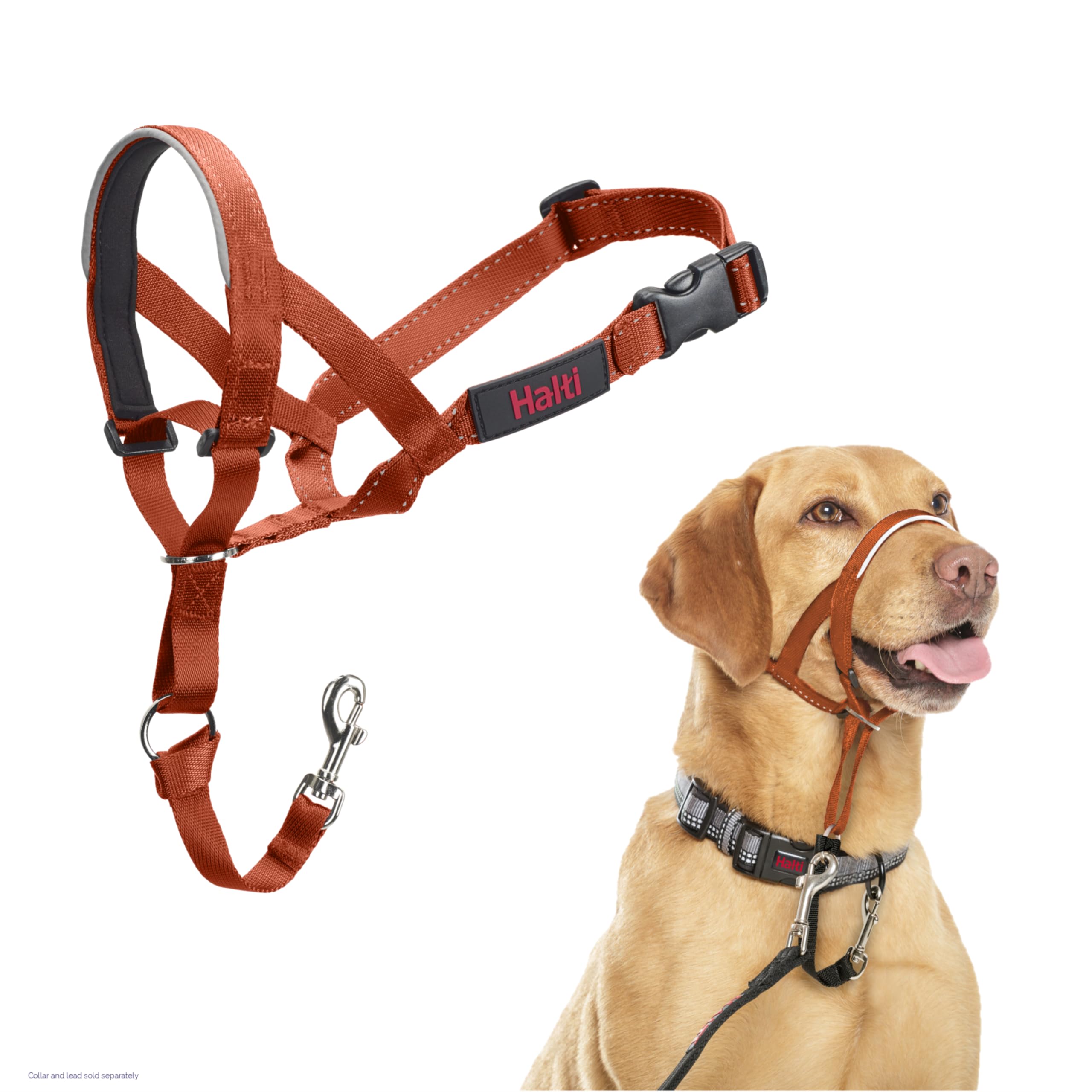 Halti Headcollar - Stops Pulling for Dogs | Size 3, Burnt Orange, Reflective