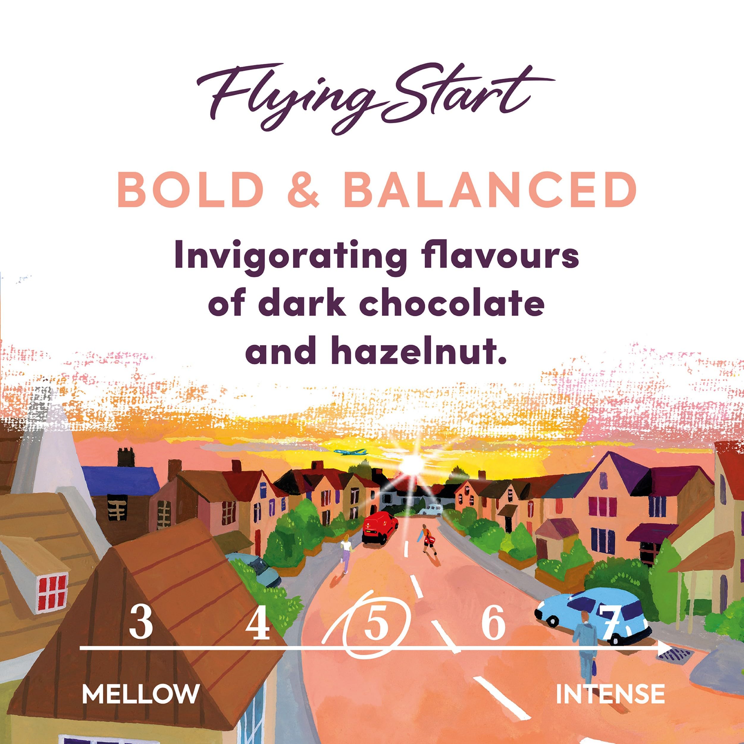 Taylors of Harrogate Flying Start Coffee Beans, 700g - Dark Roast Arabica Blend 5