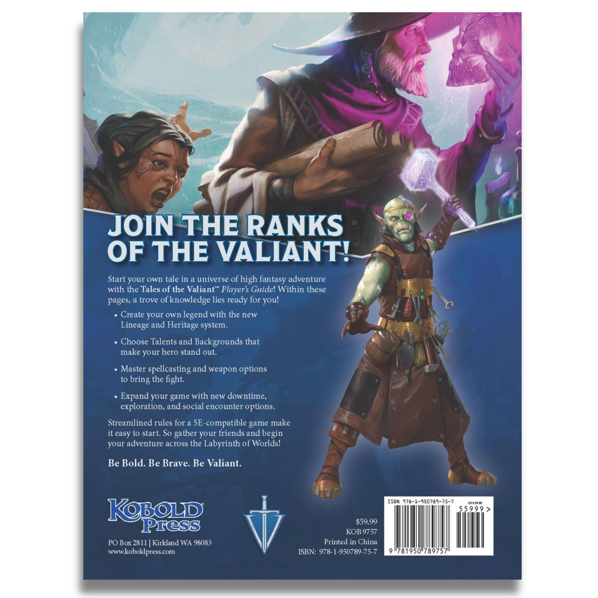 Kobold Press Tales of the Valiant RPG Player's Guide Limited Edition Hardcover 4