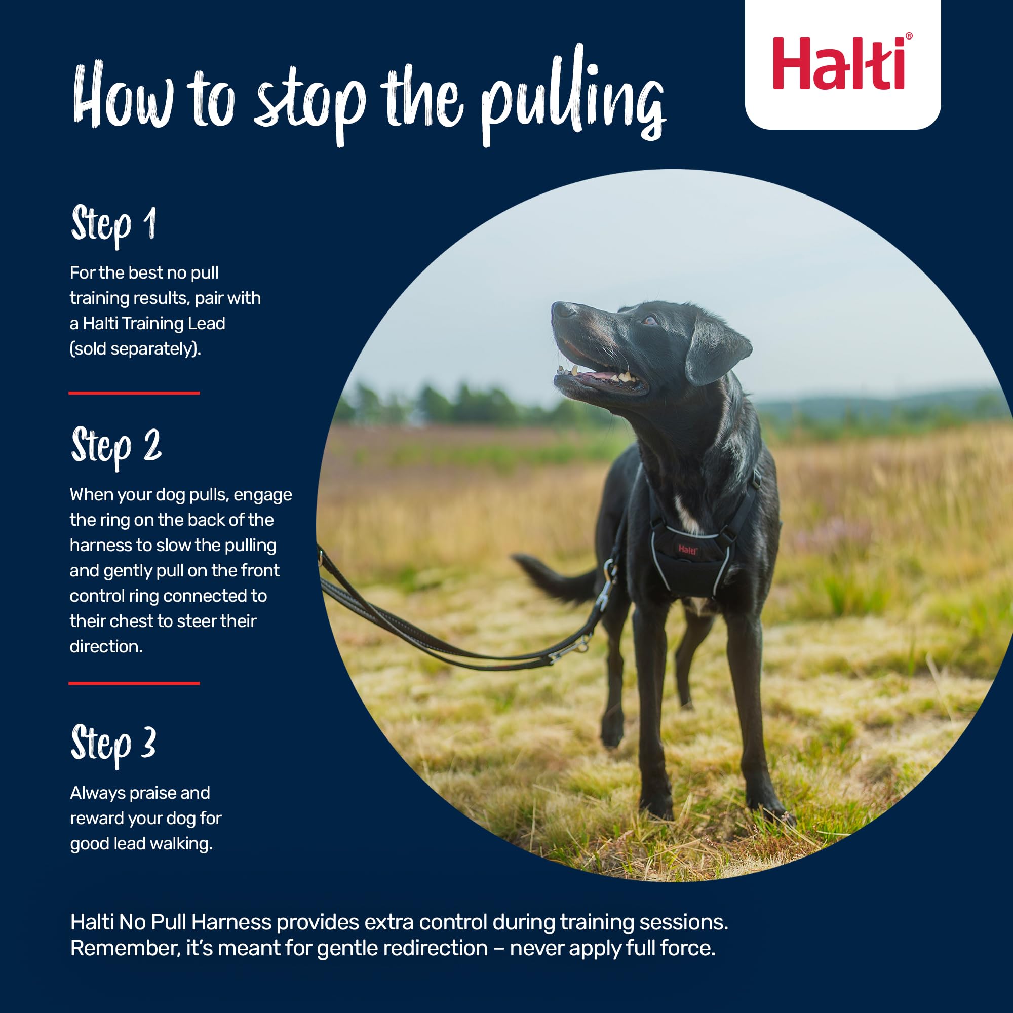 Halti No Pull Harness - Front Control Steering & Lifting Action | Size L | Cobalt Blue 4