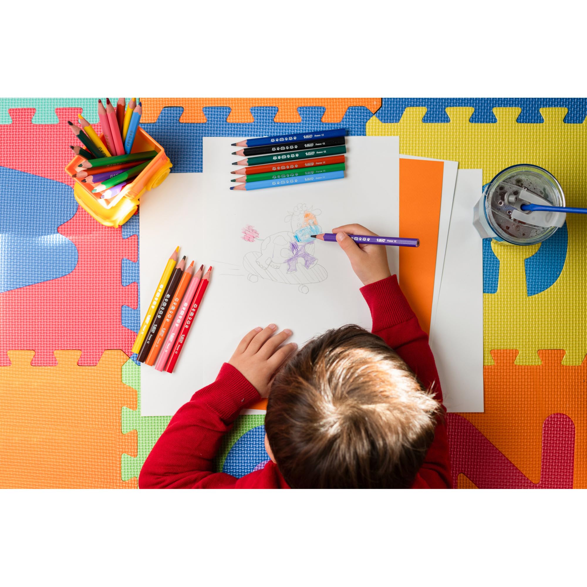 BIC Kids Evolution Triangle ECOlutions Colouring Pencils - 12-Pack for Kids 2+ 13