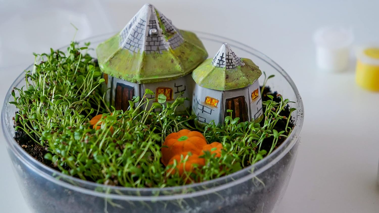 Clementoni 19248 Terrarium - Harry Potter Hagrid's Hut Educational Kit for Kids Ages 7+ 6