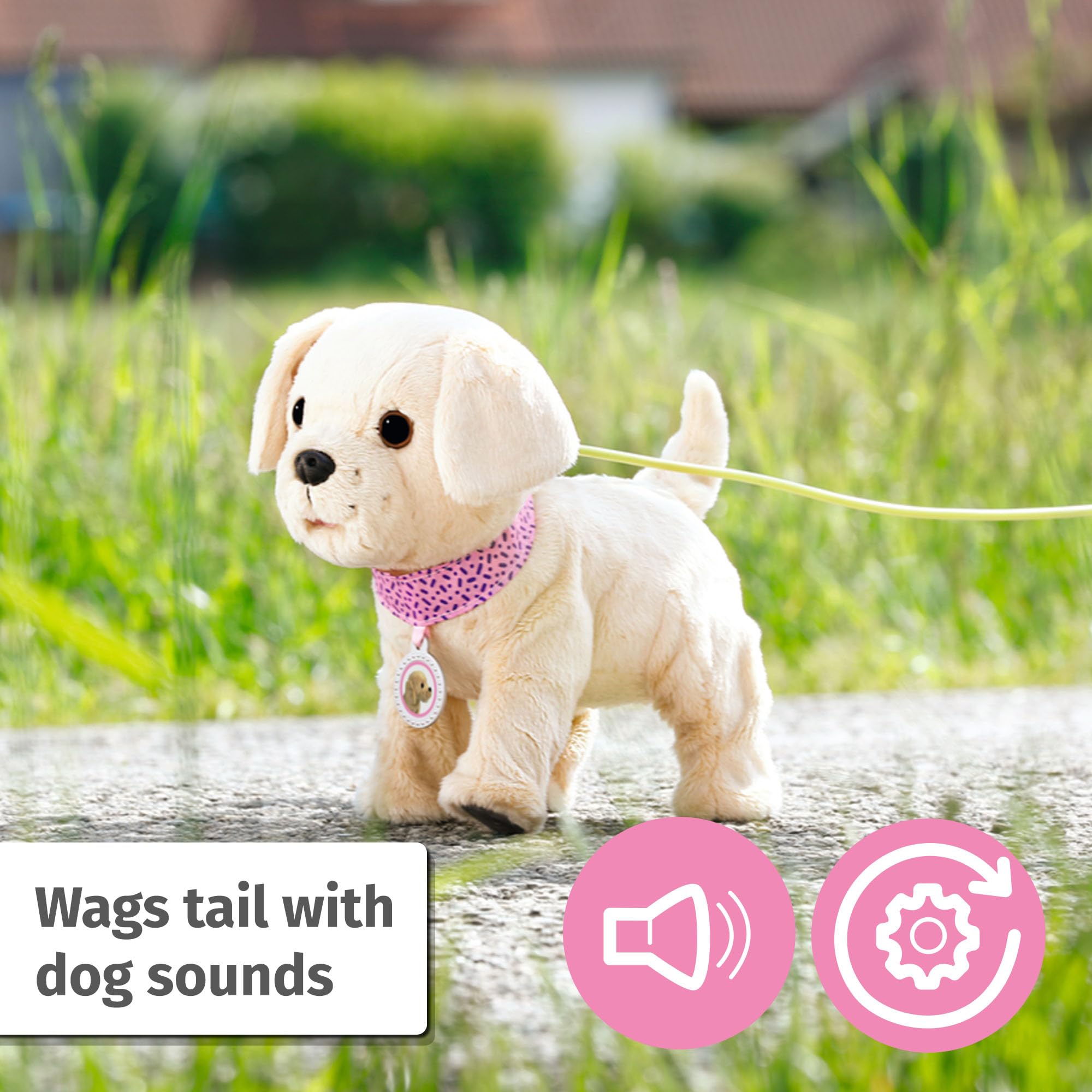 BABY born My Dog Lucky with Carry Box - 5 Realistic Functions, Interactive Playset for Ages 3+ 6