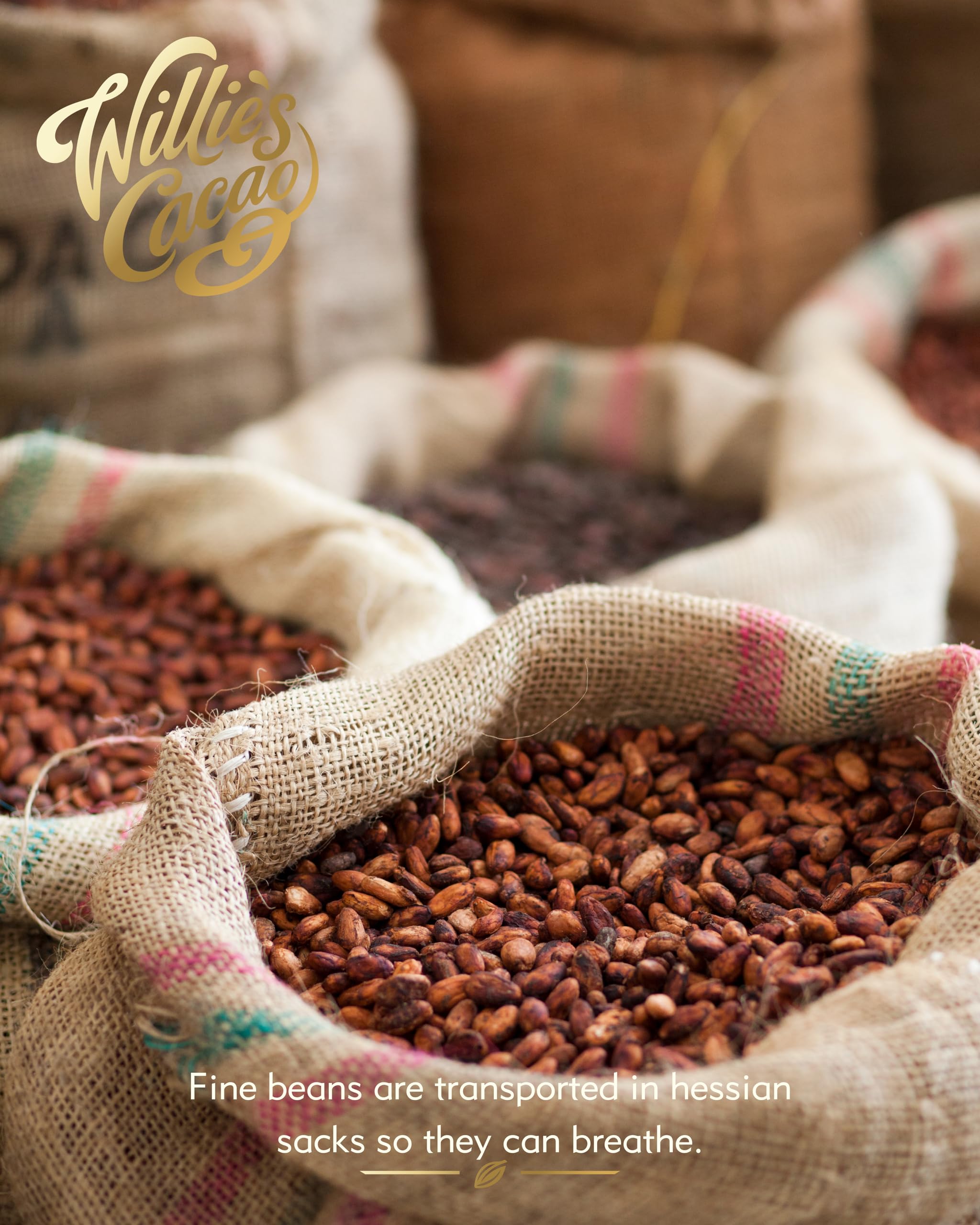 Willie's Cacao - 95% San Vicente Dark Chocolate Bar - 40g - Soft Fruit Notes