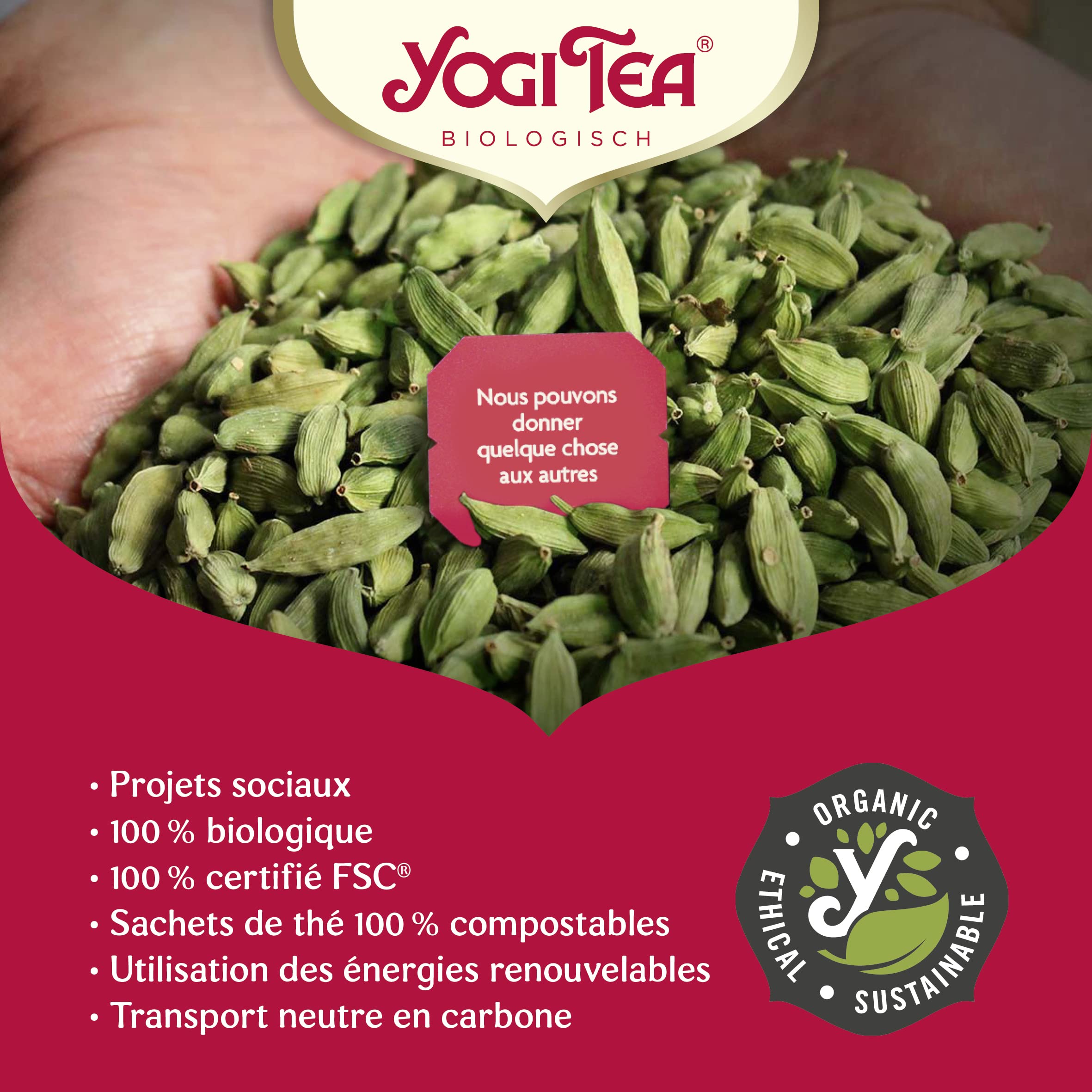 YOGI TEA - Christmas Organic Herbal Tea, Caffeine-Free Blend with Honeybush, Cinnamon & Star Anise 4