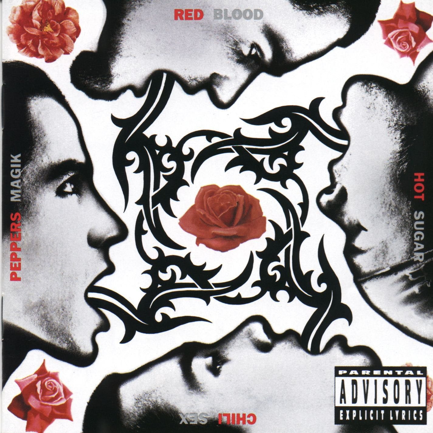 Red Hot Chili Peppers - Blood Sugar Sex Magik [Double LP Vinyl]