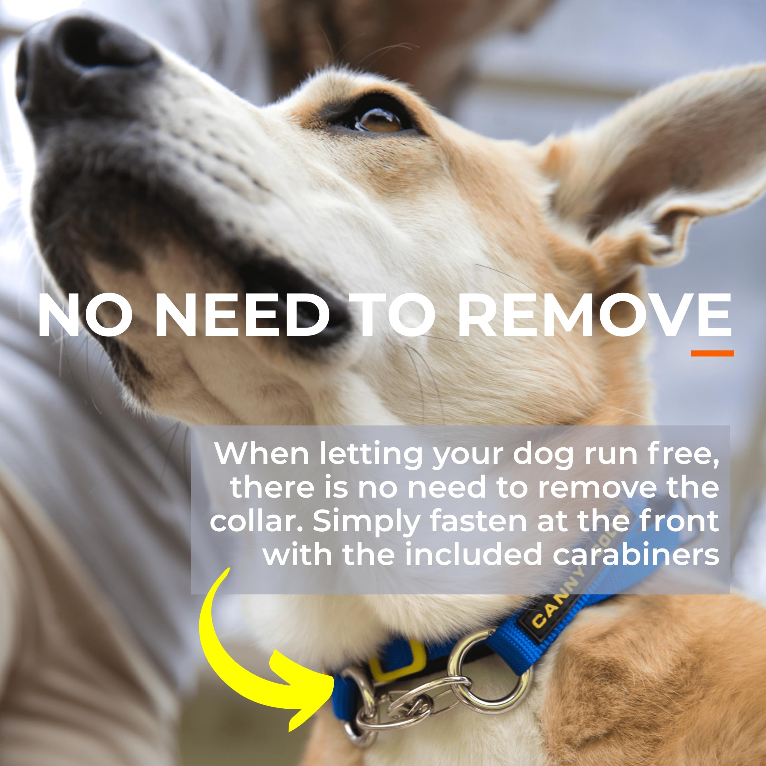 Canny - Canny Collar Head Collar for Dog Training and Walking - Black (Size 4, Model 02-1005) 21