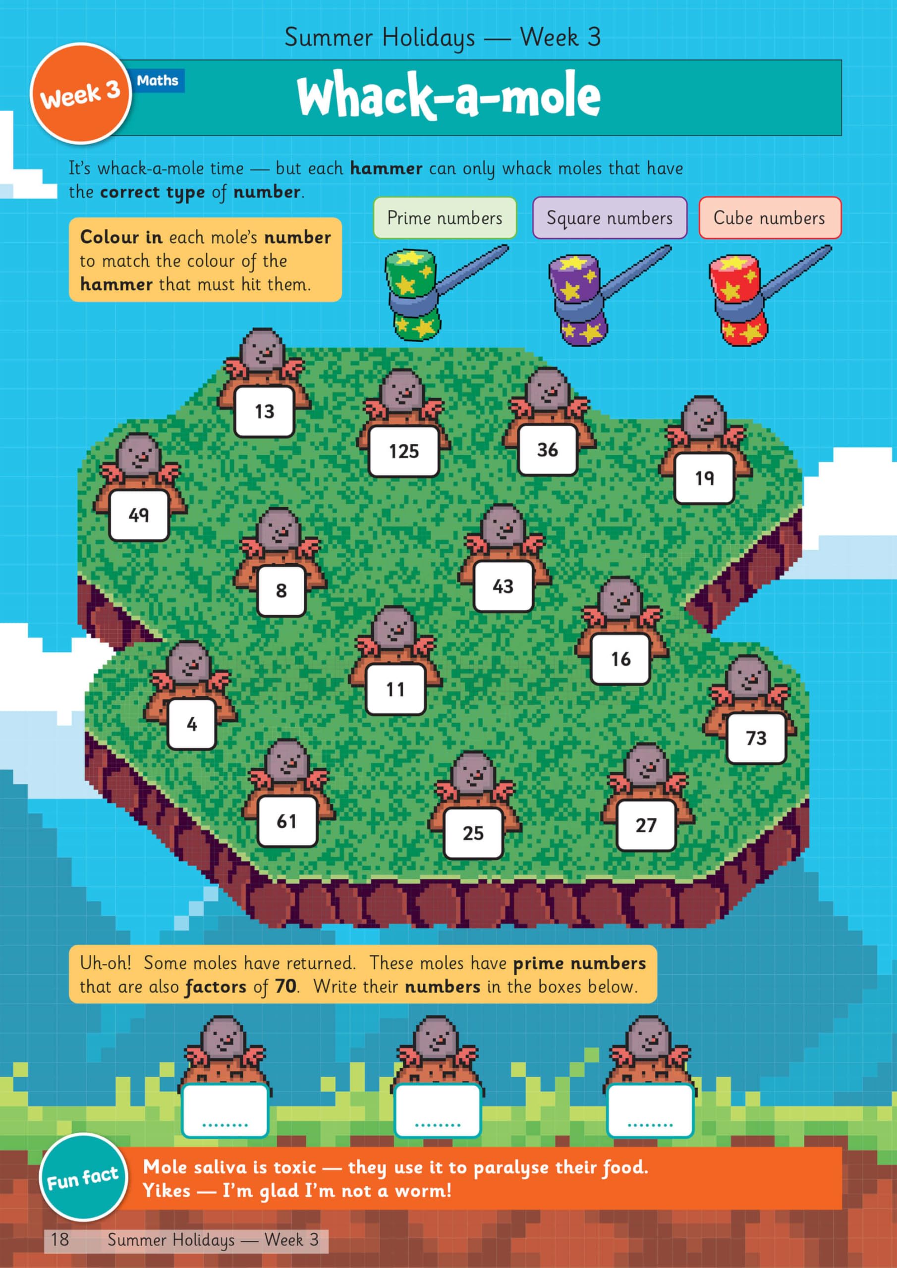 CGP Summer Holidays Activity Workbook - Year 5 to Year 6 Transition Study Aid | Paperback