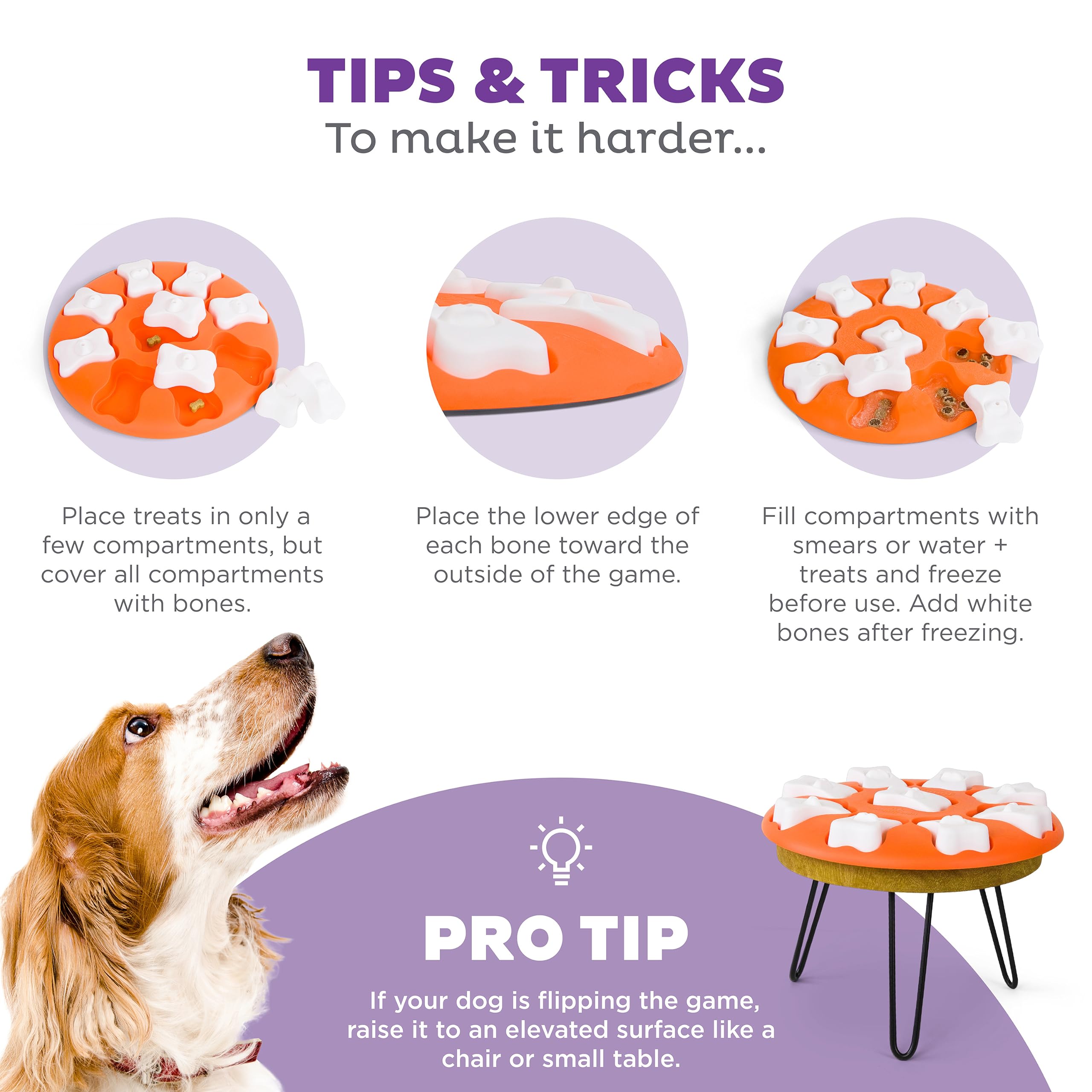 Outward Hound Dog Smart Treat Puzzle Enrichment Toy - Level 1 Beginner 5