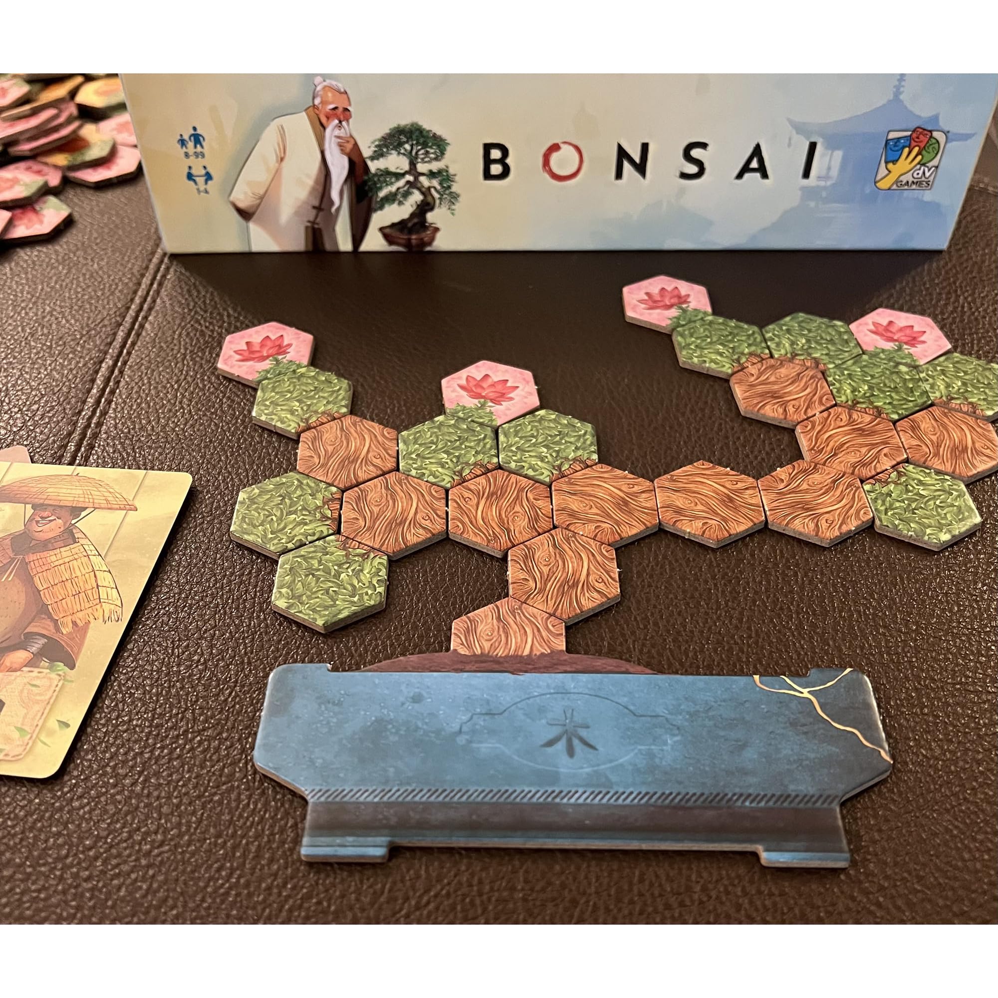 DV Games Bonsai Family Board Game | Strategy | 4 Players | 40 Min Playtime | Ages 9+