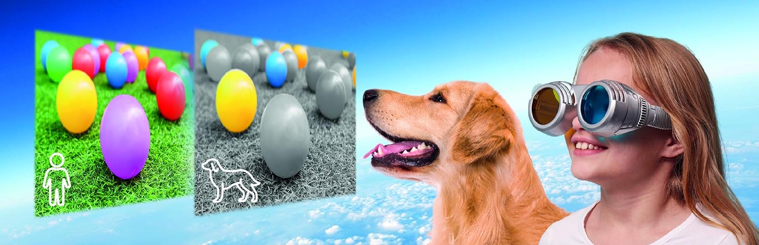 Brainstorm Toys E2064 See The World Through Others' Eyes - STEM Optics Playset for Kids 6+ 5