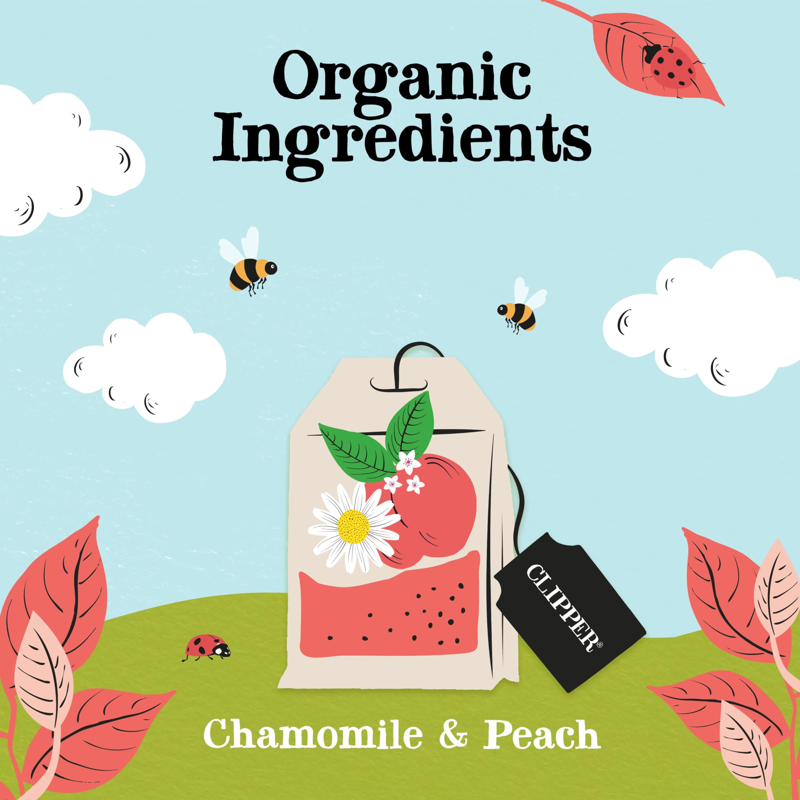 Clipper Organic Chamomile and Peach Infusions Fruit Teabags, 80 Tea Bags 7